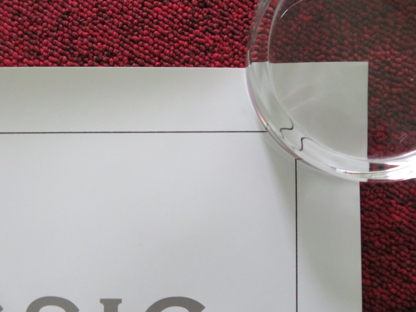 101 DALMATIANS US ONE SHEET ROLLED POSTER DISNEY ROD TAYLOR R1991 Rendezvous Cinema Movie posters