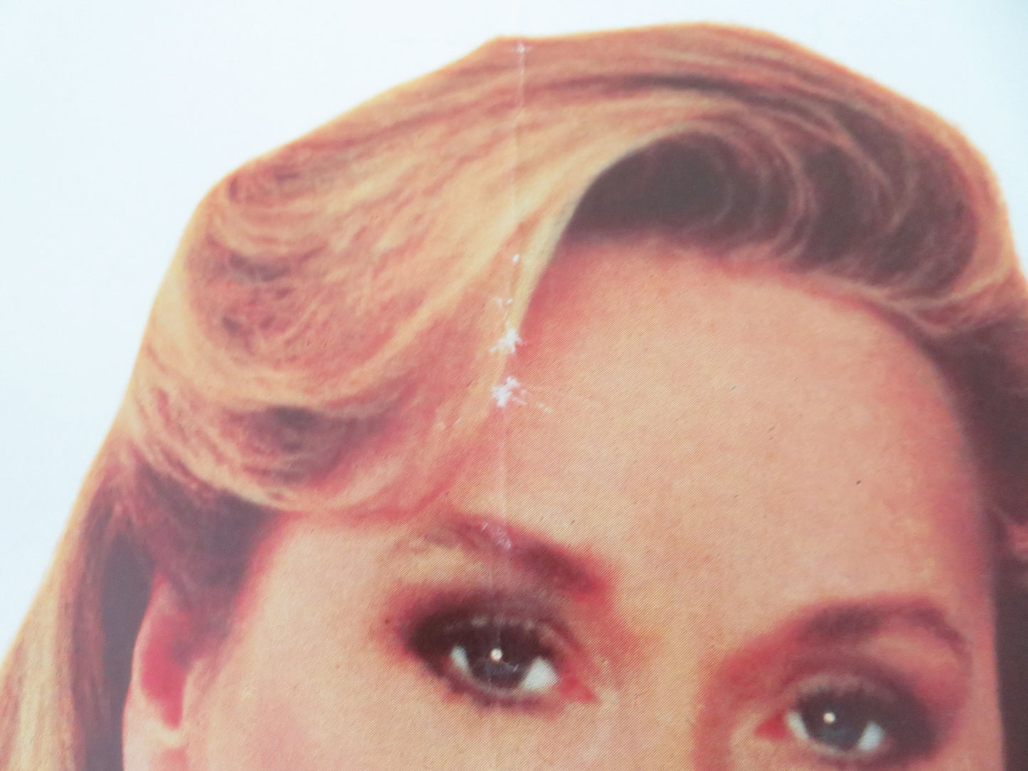 She-Devil UK Quad Rolled Poster Meryl Streep Roseanne Barr Ed Begley Jr. 1989