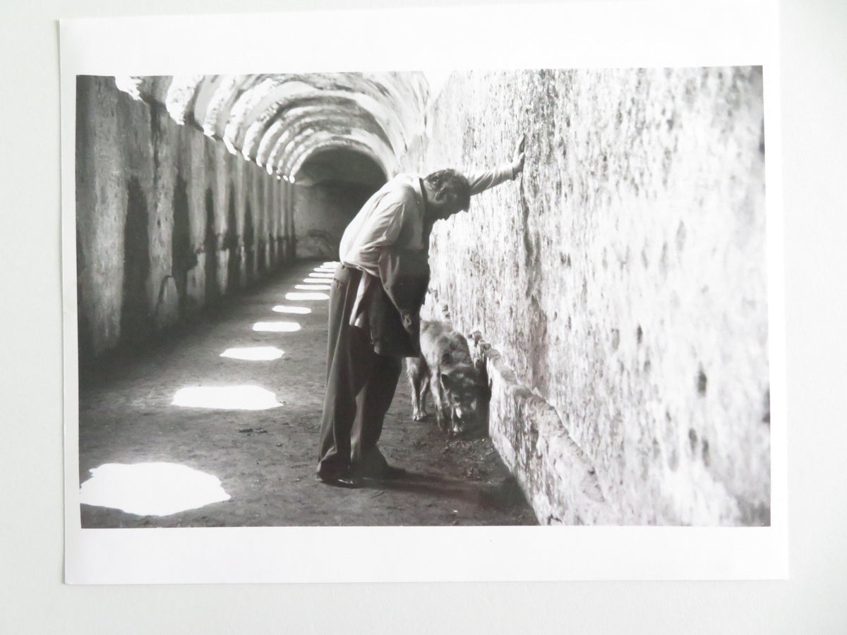 The Belly of an Architect - B Movie Still Photo Lot Of 9 Brian Dennehy 1987