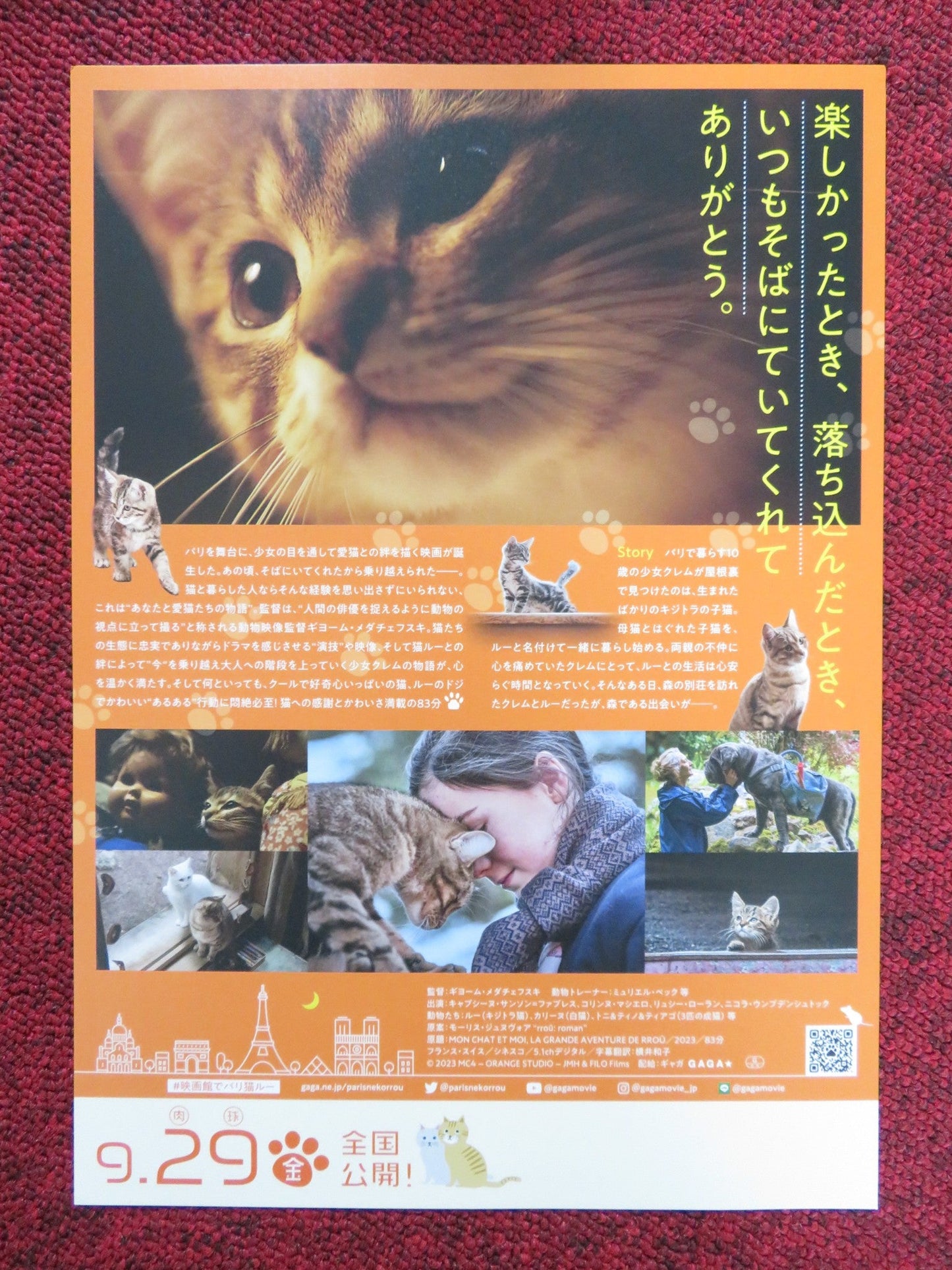 A CAT'S LIFE JAPANESE CHIRASHI (B5) POSTER CAPUCINE SAINSON - FABRESSE 2023 Rendezvous Cinema Movie posters