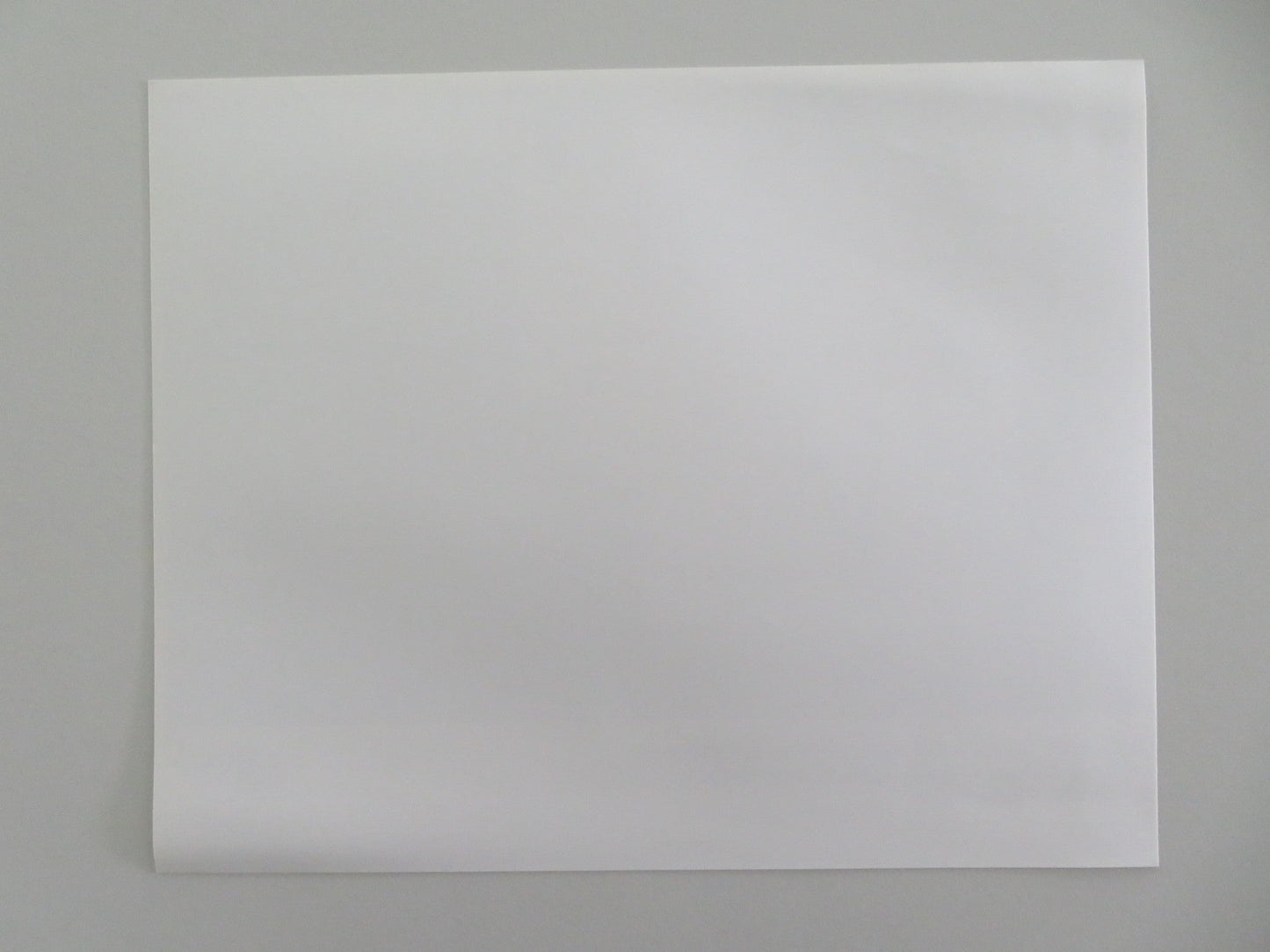 ALISON'S BIRTHDAY MOVIE STILL PHOTO JOANNE SAMUEL LOU BROWN 1981 Movie posters