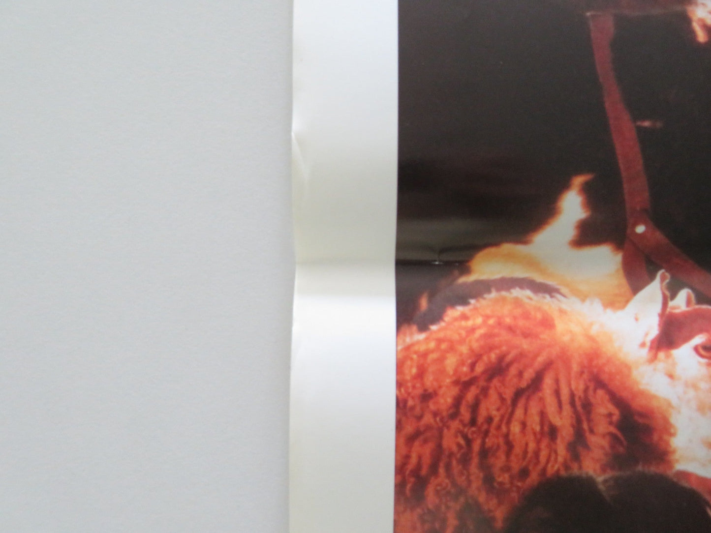 Babe ITALIAN LOCANDINA POSTER Christine Cavanaugh Miriam Margolyes 1995 Movie posters