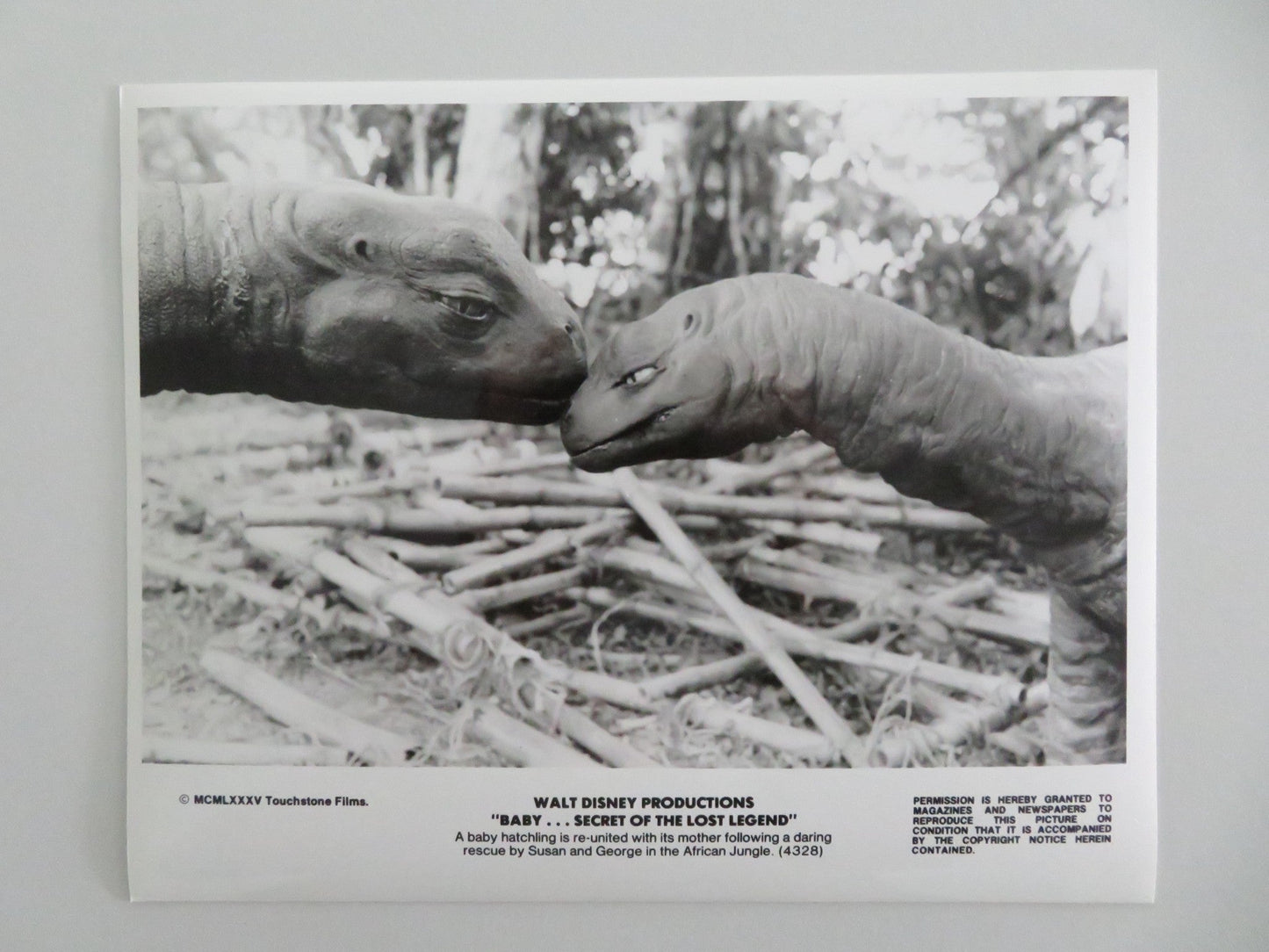 BABY: SECRET OF THE LOST LEGEND MOVIE STILL PHOTO LOT OF 4 DISNEY S. YOUNG 1985 - Rendezvous Cinema
