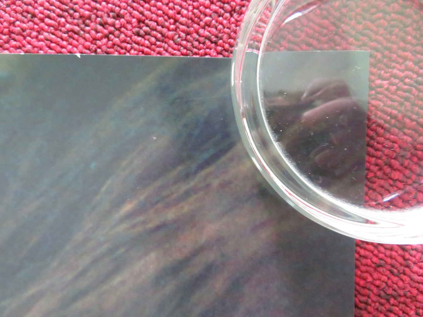 BABYGIRL US ONE SHEET ROLLED POSTER NICOLE KIDMAN HARRIS DICKINSON 2024 Rendezvous Cinema Movie posters