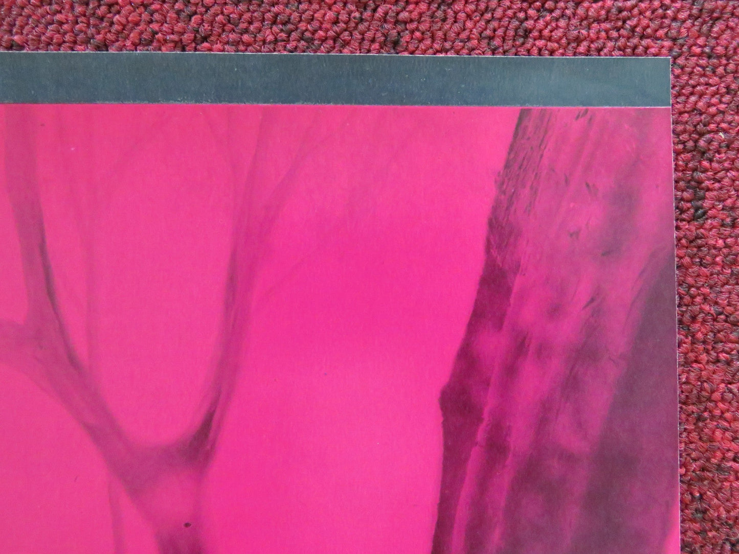 BADLANDS - D ITALIAN FOTOBUSTA POSTER MARTIN SHEEN SISSY SPACEK 1973 Rendezvous Cinema Movie posters