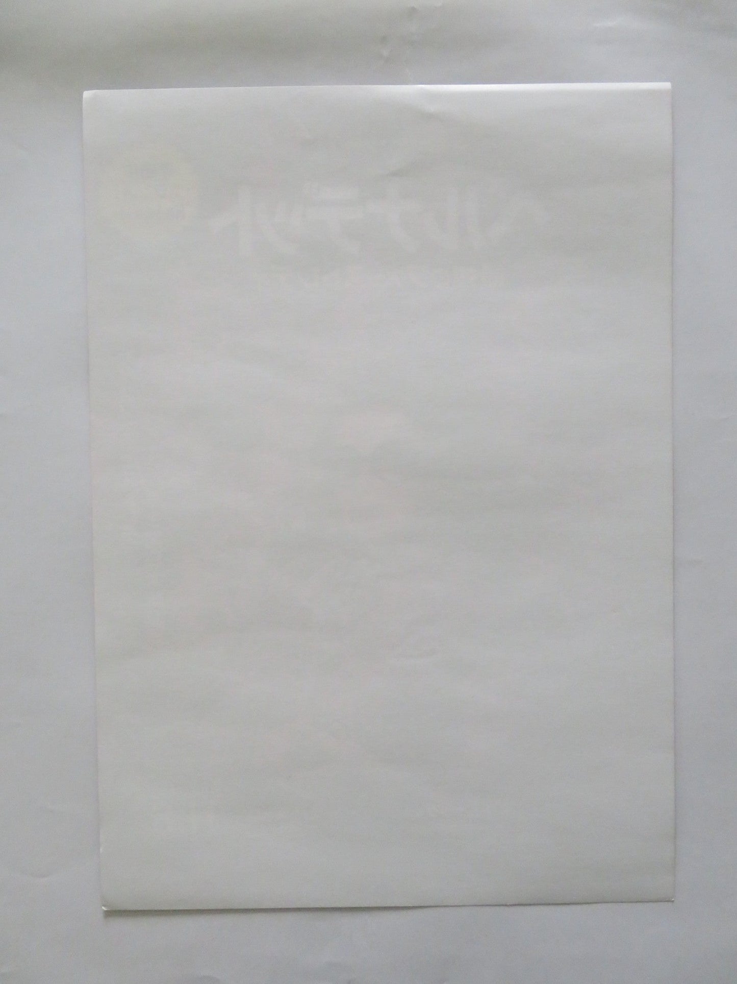 BERNADETTE JAPANESE CHIRASHI (B5) POSTER CATHERINE DENUEVE DENIS PODALYDES 2023 Rendezvous Cinema Movie posters