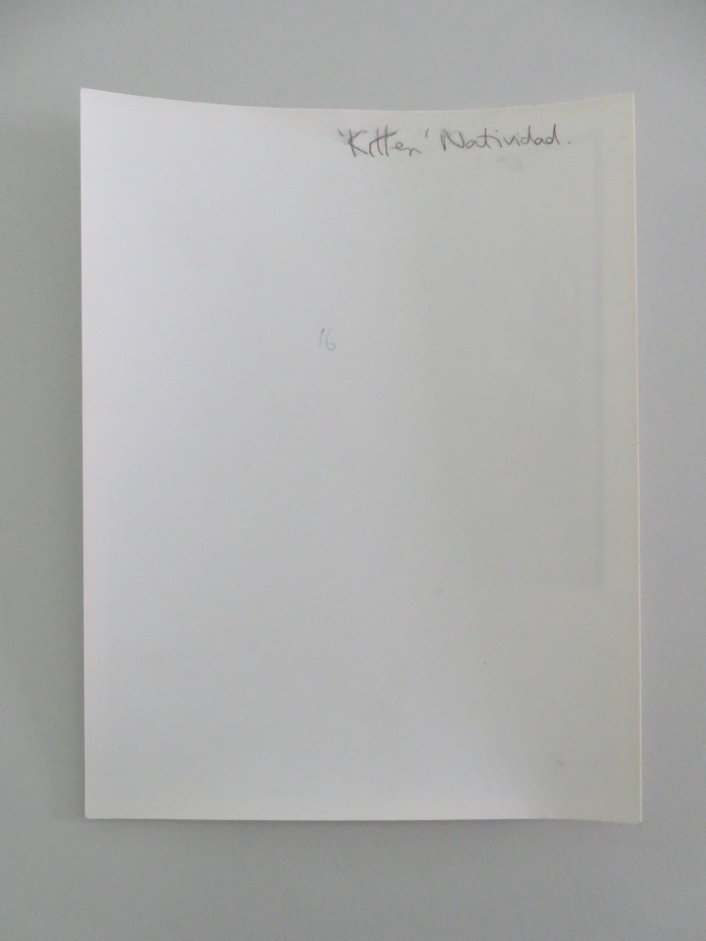 BEYOND THE VALLEY OF THE DOLLS MOVIE STILL PHOTO KITTEN NATIVIDAD 1970 Movie posters