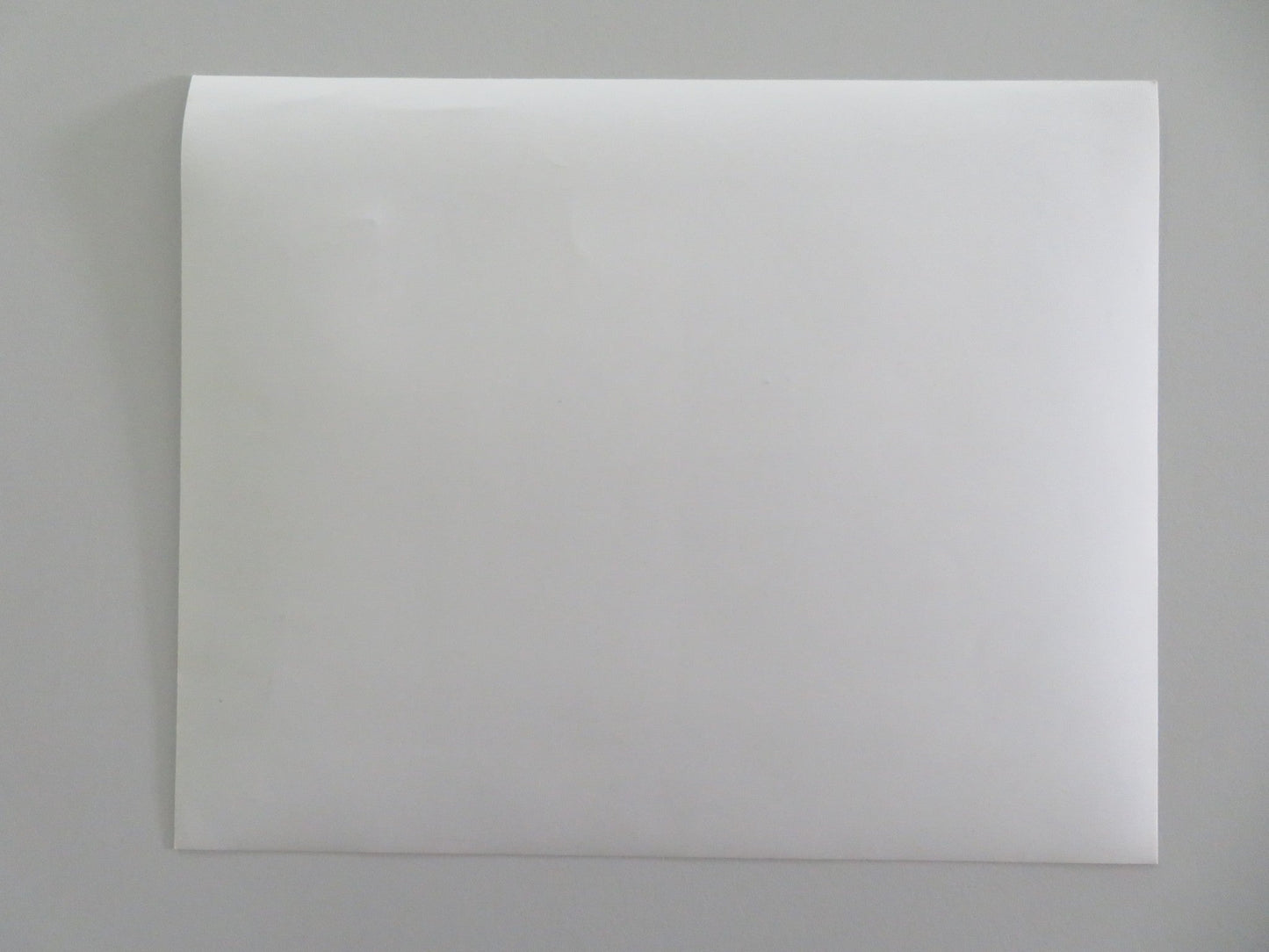 BLACK WIDOW MOVIE STILL PHOTO DENNIS HOPPER THERESA RUSSELL 1987 Movie posters