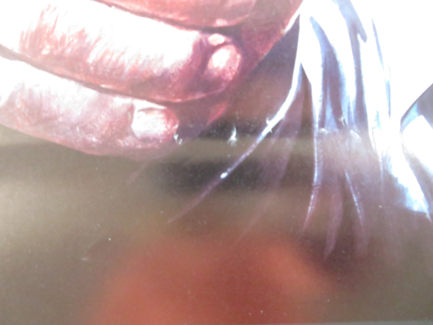 CABO BLANCO ITALIAN LOCANDINA POSTER CHARLES BRONSON JASON ROBARDS 1980 Rendezvous Cinema Movie posters