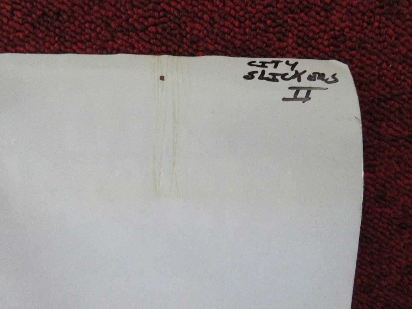 CITY SLICKERS II: THE LEGEND OF CURLY'S GOLD - B VHS VIDEO POSTER ROLLED 1994 Movie posters