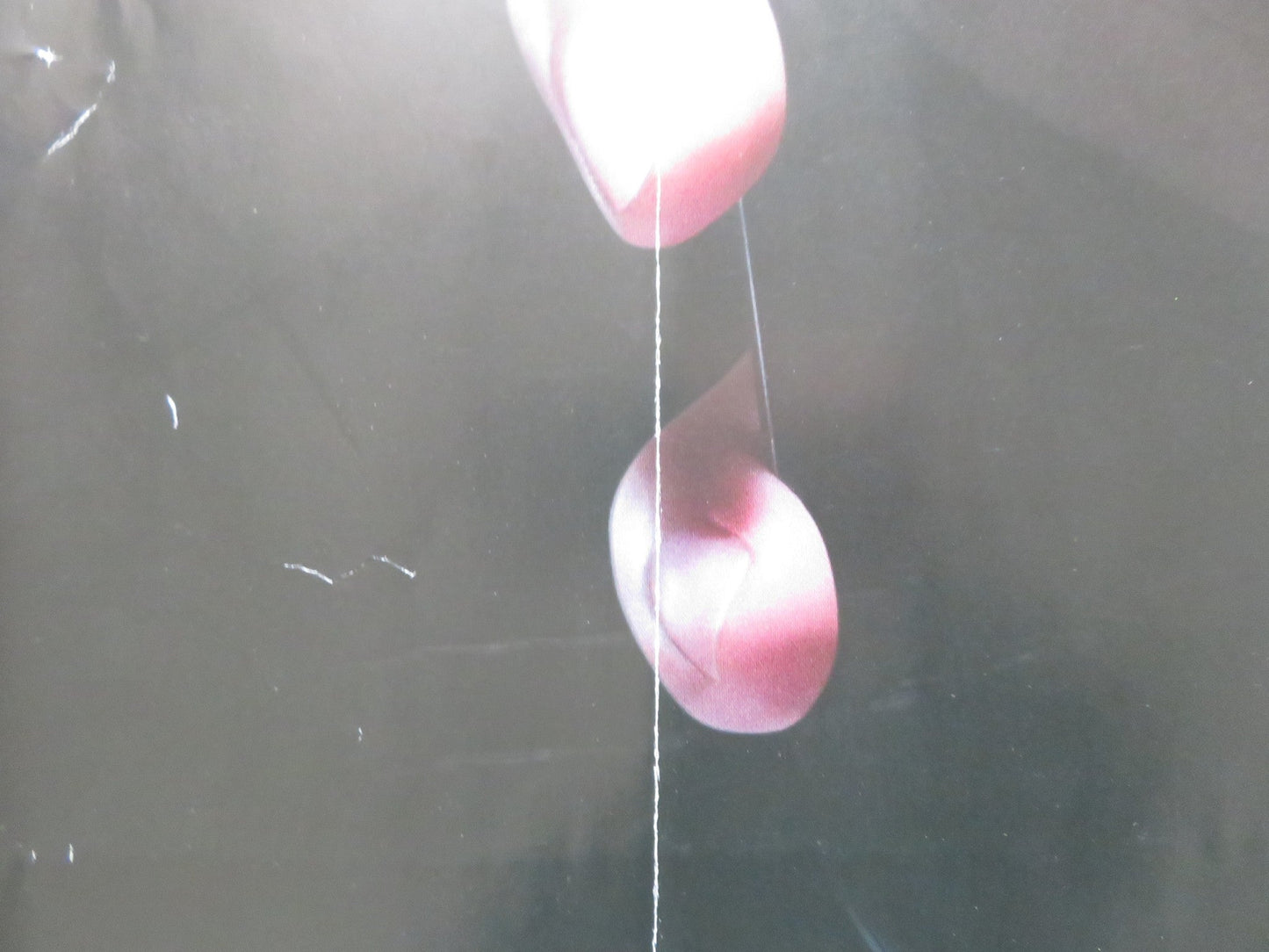 COUNTDOWN UK QUAD ROLLED POSTER ELIZABETH LAIL JORDAN CALLOWAY 2019 Rendezvous Cinema Movie posters