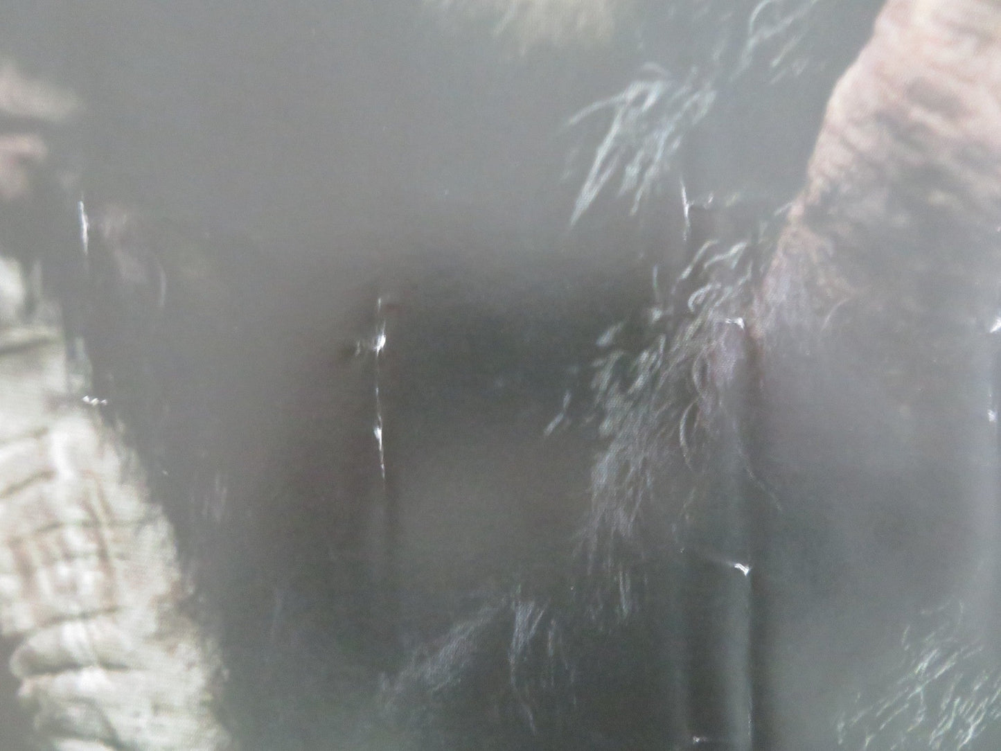 DAWN OF THE PLANET OF THE APES UK QUAD ROLLED POSTER ANDY SERKIS G. OLDMAN 2014 Movie posters