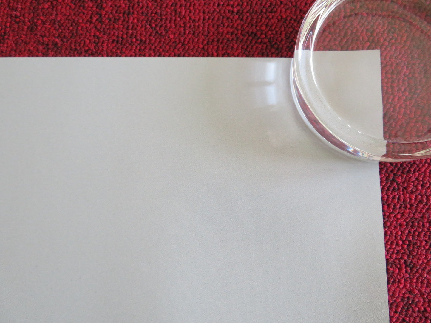 DEATH OF A UNICORN UK QUAD ROLLED POSTER JENNY ORTEGA PAUL RUDD 2025 Rendezvous Cinema Movie posters