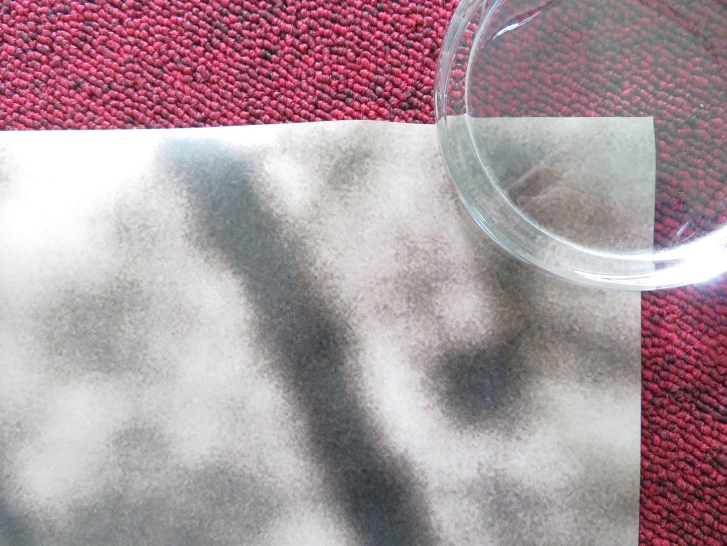 DEFIANCE - B US ONE SHEET ROLLED POSTER DANIEL CRAIG LIEV SCHREIBER 2008 Rendezvous Cinema Movie posters