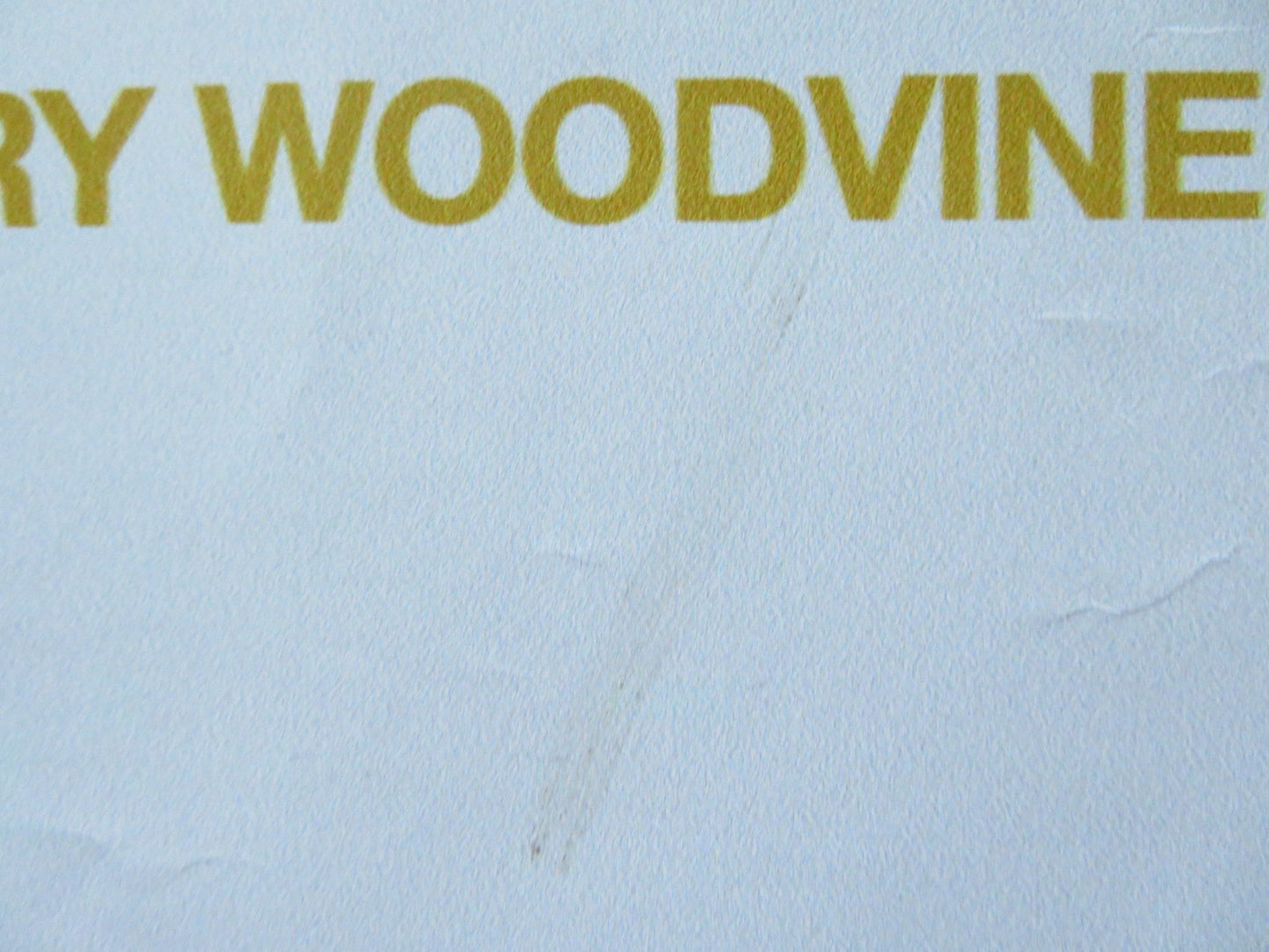 ENYS MEN UK QUAD ROLLED POSTER MARY WOODVINE EDWARD ROWE 2022 Rendezvous Cinema Movie posters