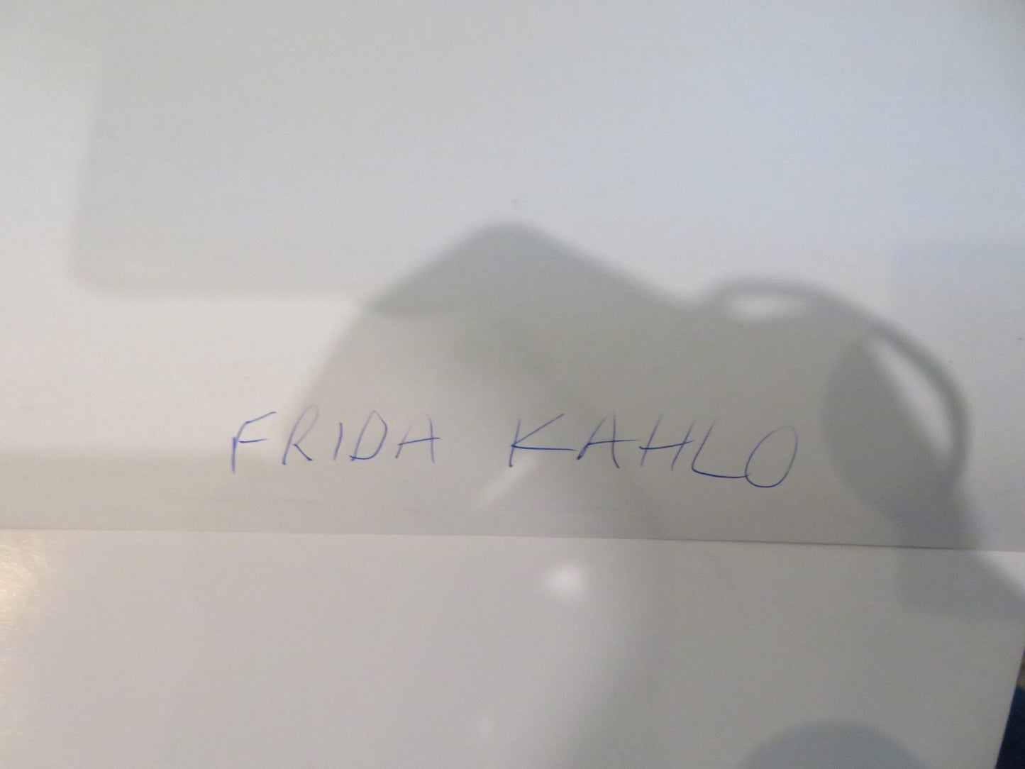 FRIDA KAHLO UK QUAD ROLLED POSTER DIANA BERMUDEZ 2020 Movie posters