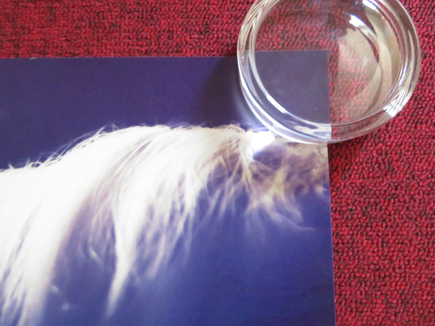 FUNNY GIRL UK QUAD ROLLED POSTER SHERIDAN SMITH DARIUS CAMPBELL 2018 Rendezvous Cinema Movie posters