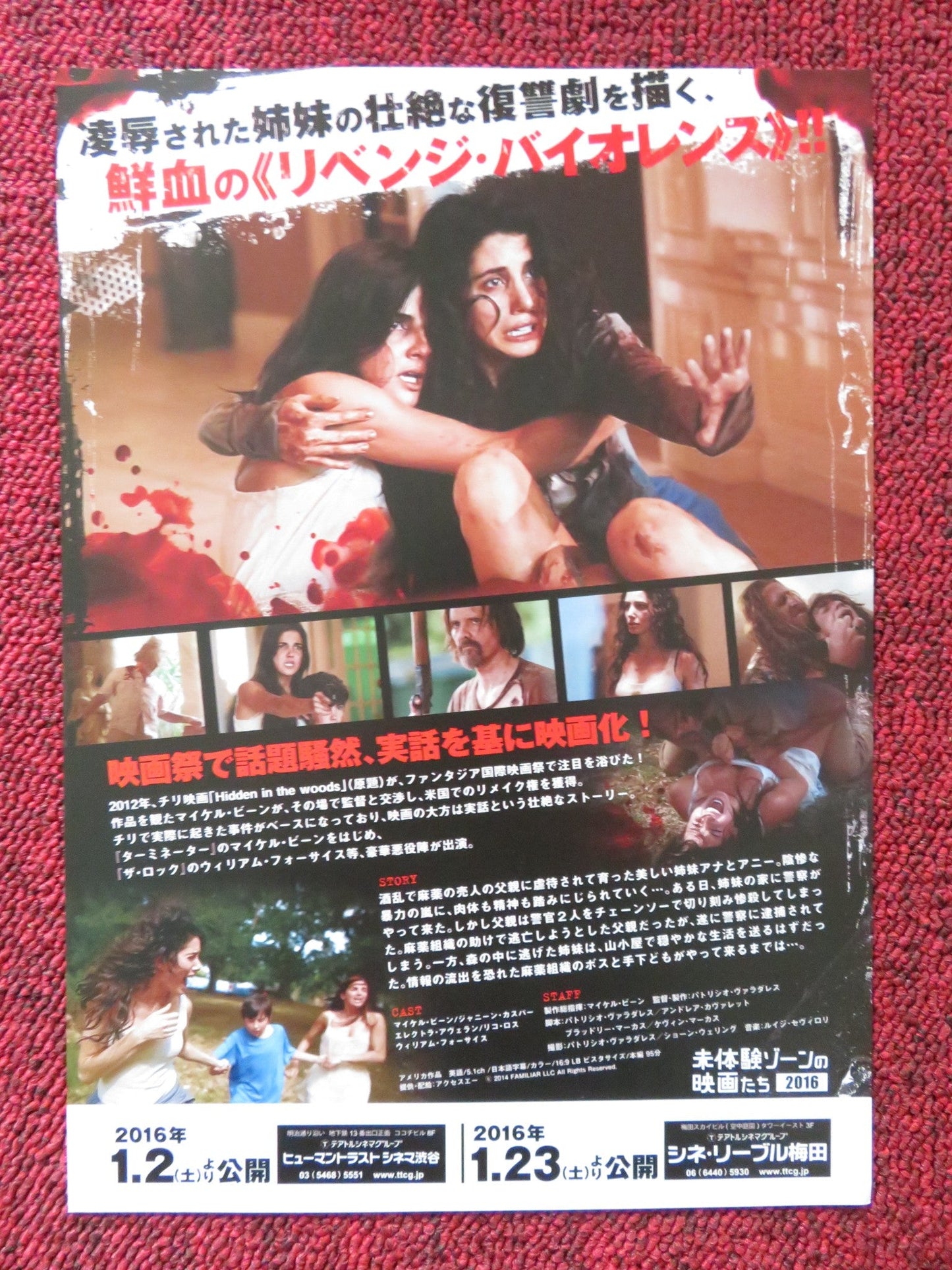 HIDDEN IN THE WOODS JAPANESE CHIRASHI (B5) POSTER MICHAEL BIEHN KASPAR 2014 Rendezvous Cinema Movie posters