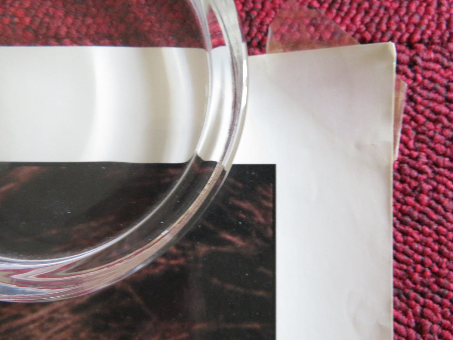 HONEY, I SHRUNK THE KIDS VHS VIDEO POSTER ROLLED RICK MORANIS MATT FREWER 1989 Rendezvous Cinema Movie posters