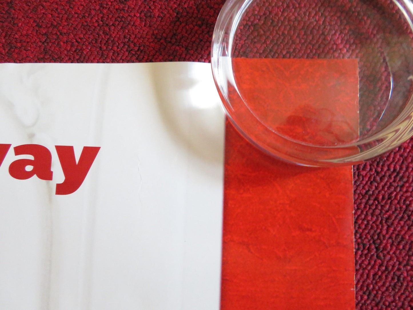 HOTEL FOR DOGS US ONE SHEET ROLLED POSTER EMMA ROBERTS LISA KUDROW 2009 Rendezvous Cinema Movie posters