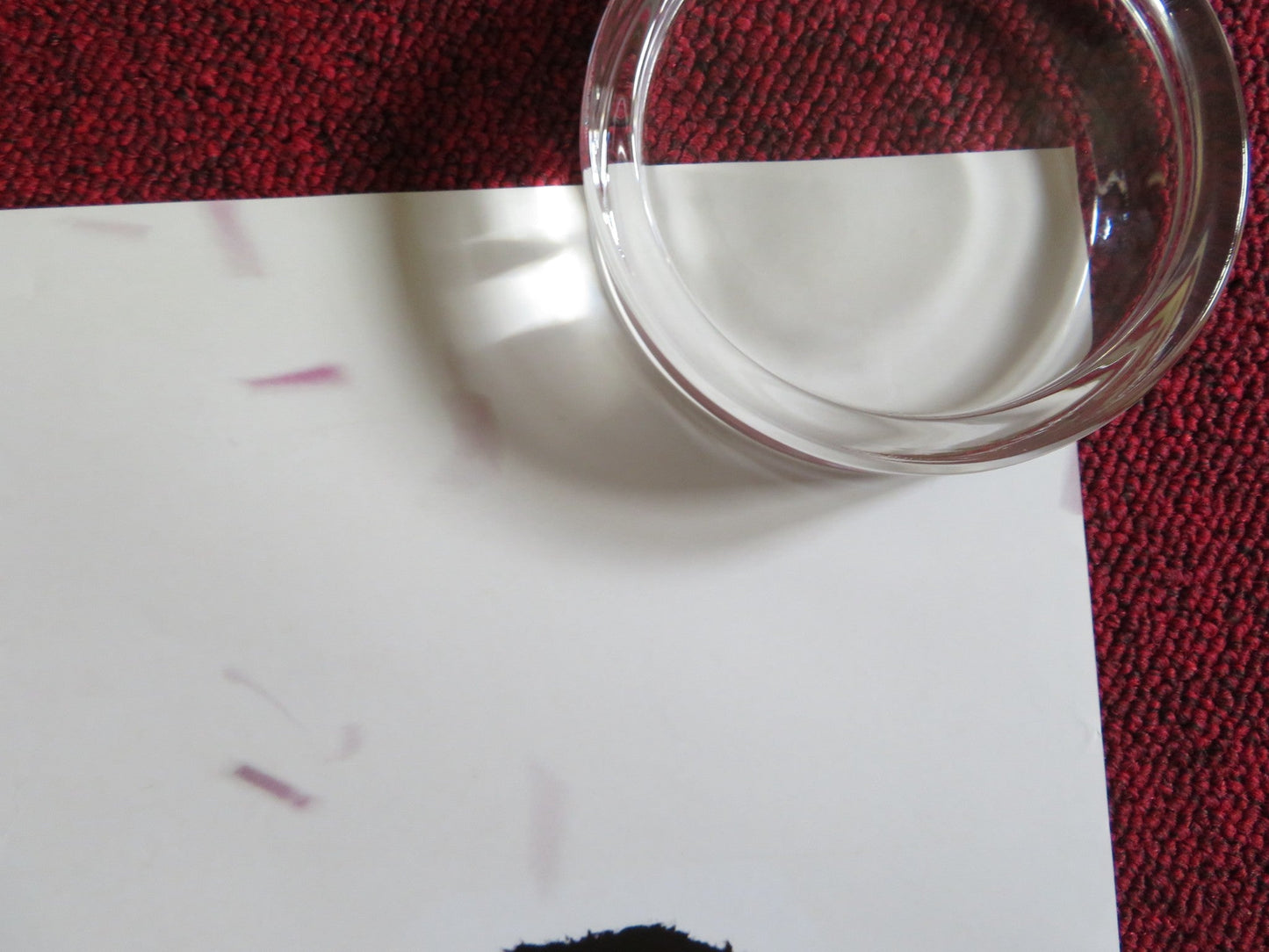 I NOW PRONOUNCE YOU CHUCK & LARRY - B US ONE SHEET ROLLED POSTER SANDLER 2007 Rendezvous Cinema Movie posters