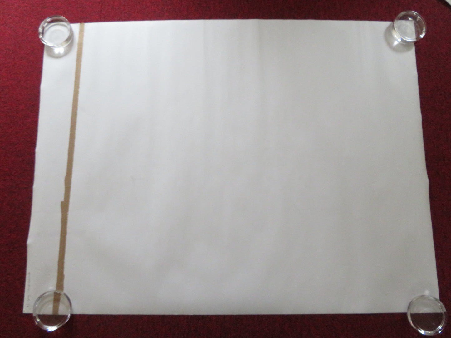 IF ONLY I COULD HIBERNATE UK QUAD ROLLED POSTER TAIVANBAT ALEXANDAR 2023 Rendezvous Cinema Movie posters