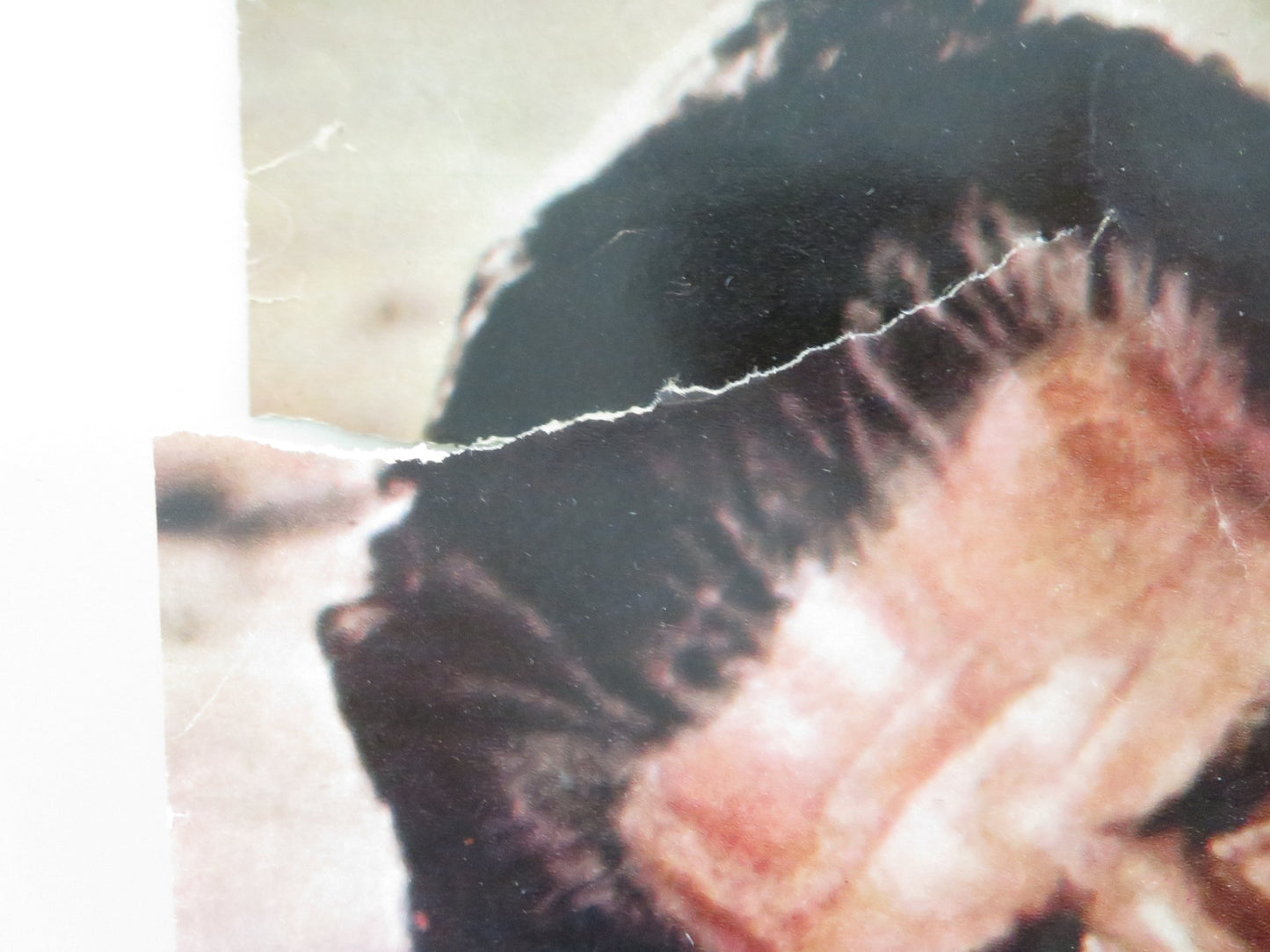 TARZAN'S THREE CHALLENGES ITALIAN FOTOBUSTA POSTER J. MAHONEY WOODY STRODE 1963 - Rendezvous Cinema