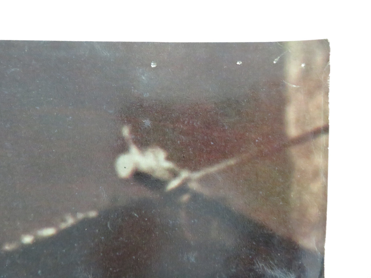 DAMON AND PYTHIAS - D ITALIAN FOTOBUSTA POSTER GUY WILLIAMS DON BURNETT 1962 - Rendezvous Cinema