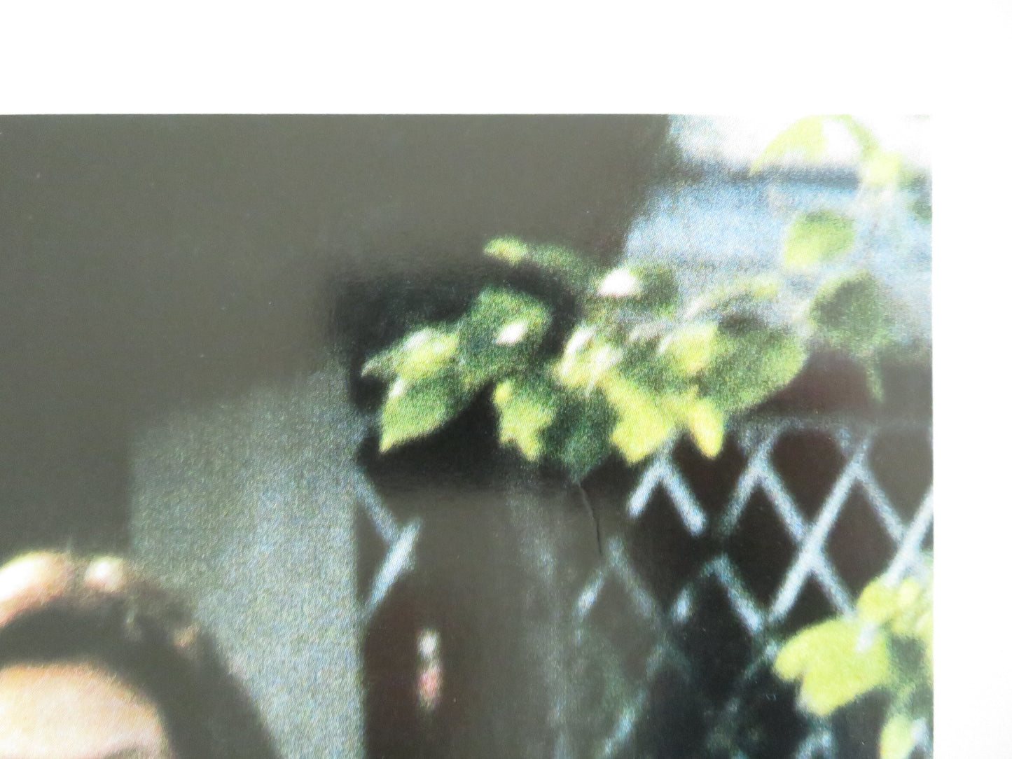 KITCHEN - D ITALIAN FOTOBUSTA POSTER AYAKO KAWAHARA KEIJI MATSUDA 1989 - Rendezvous Cinema