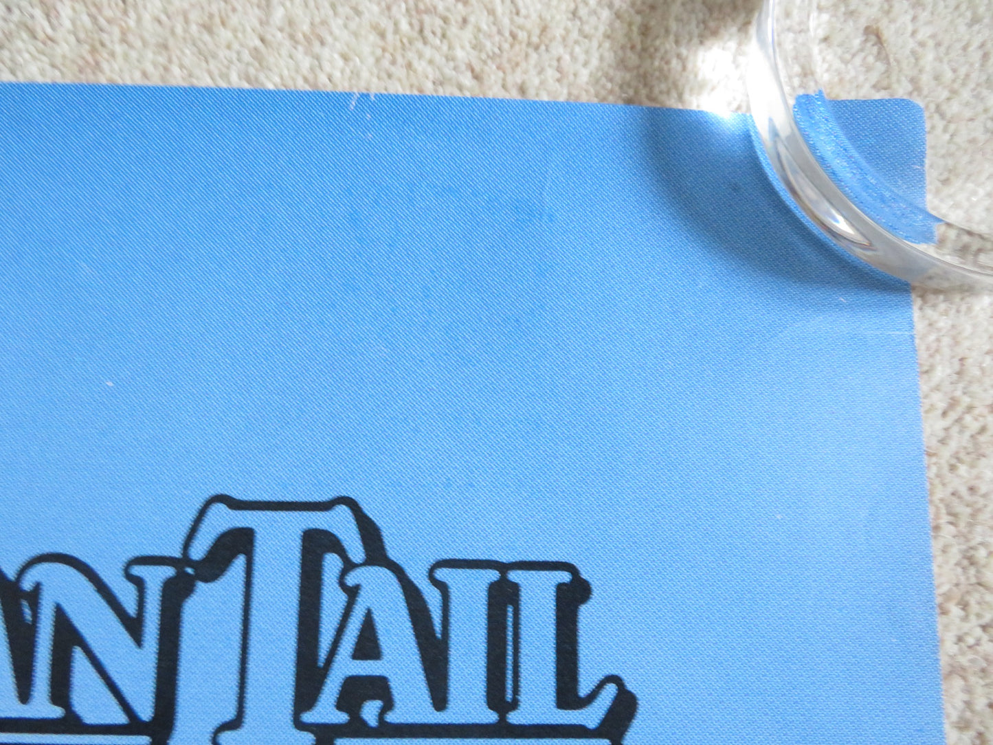 AN AMERICAN TAIL: FIEVAL GOES WEST - A DOOR PANEL POSTER ROLLED P. GLASSER 1991 - Rendezvous Cinema