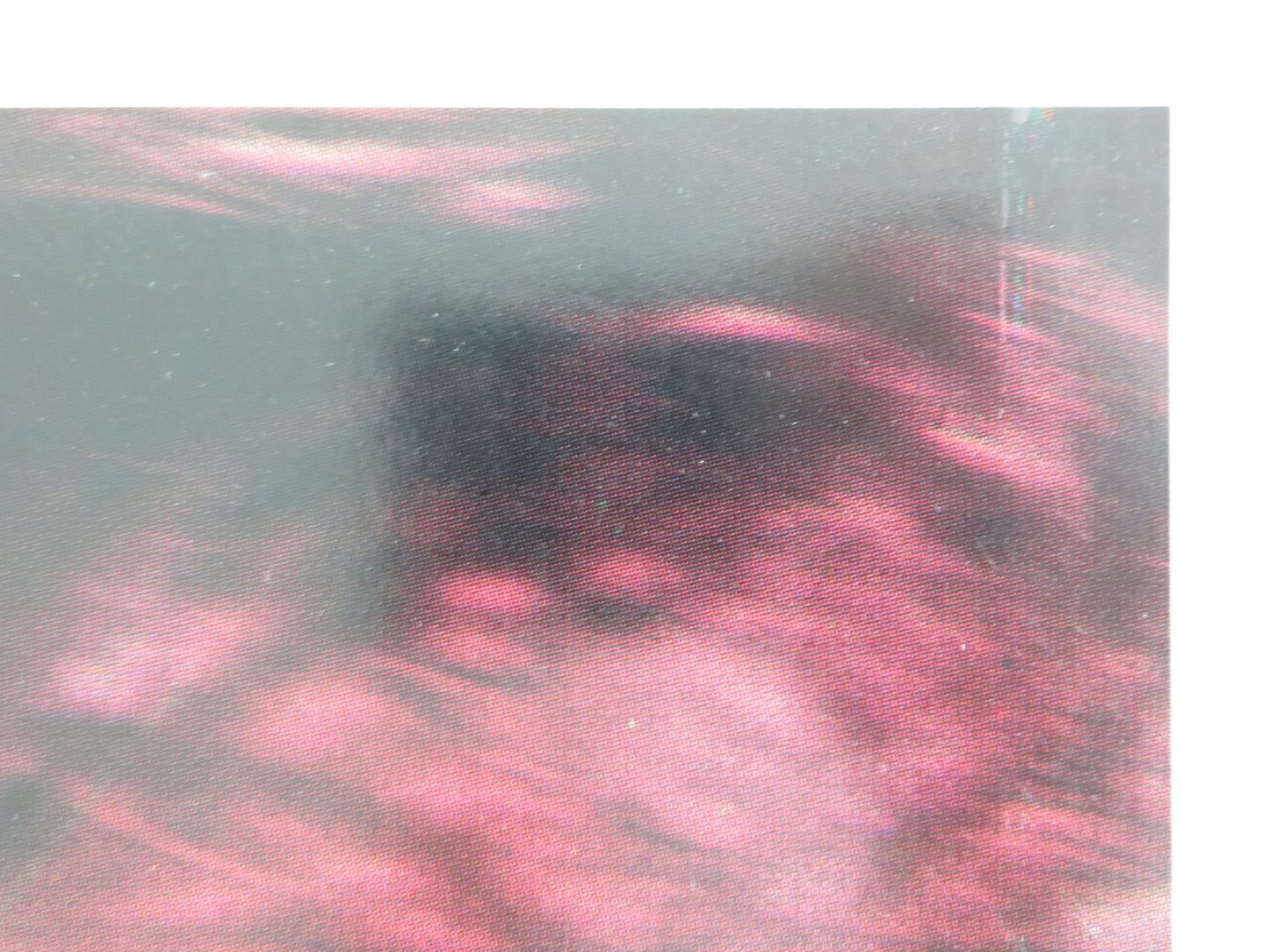 BUTTERFLIES - B ITALIAN FOTOBUSTA POSTER MARIE FORSA HARRY REEMS 1975 - Rendezvous Cinema