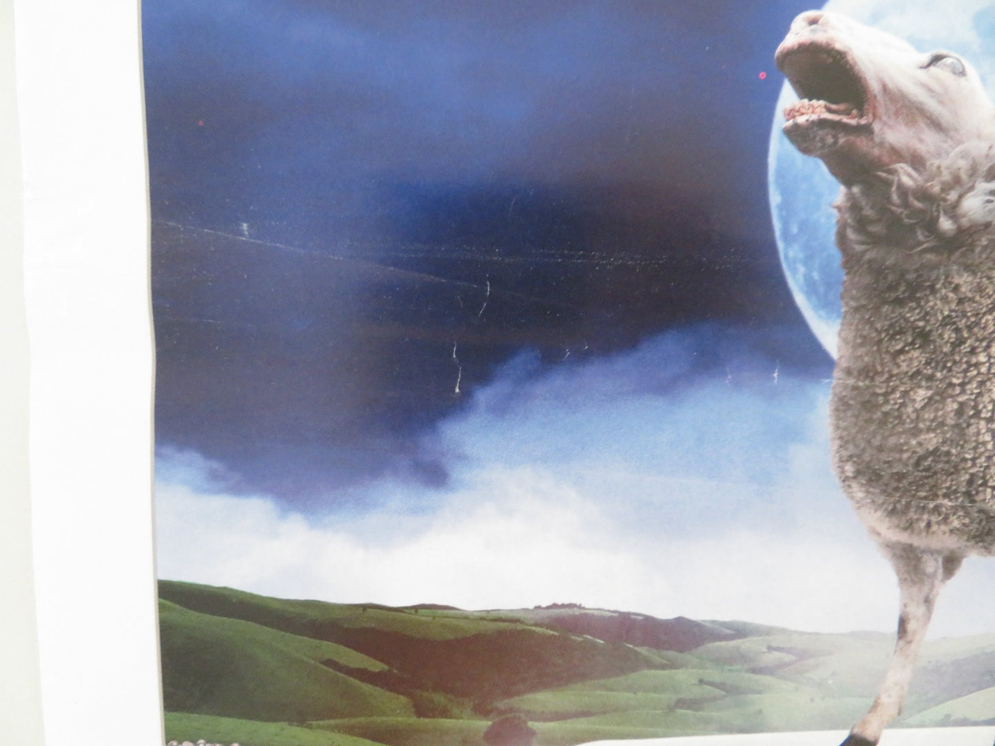 BLACK SHEEP ITALIAN LOCANDINA POSTER NATHAN MEISTER DANIELLE MASON 2006 - Rendezvous Cinema