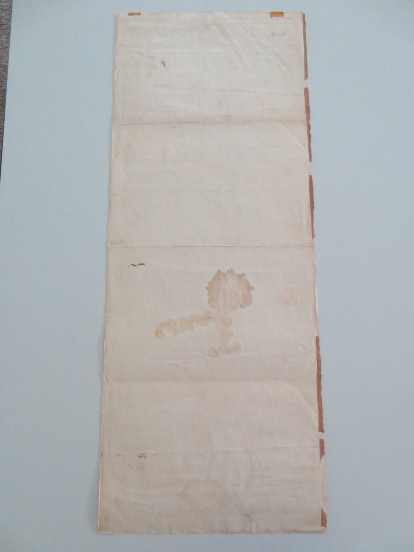 BLUE BLOOD US INSERT POSTER BILL WILLIAMS JANE NIGH 1951 - Rendezvous Cinema