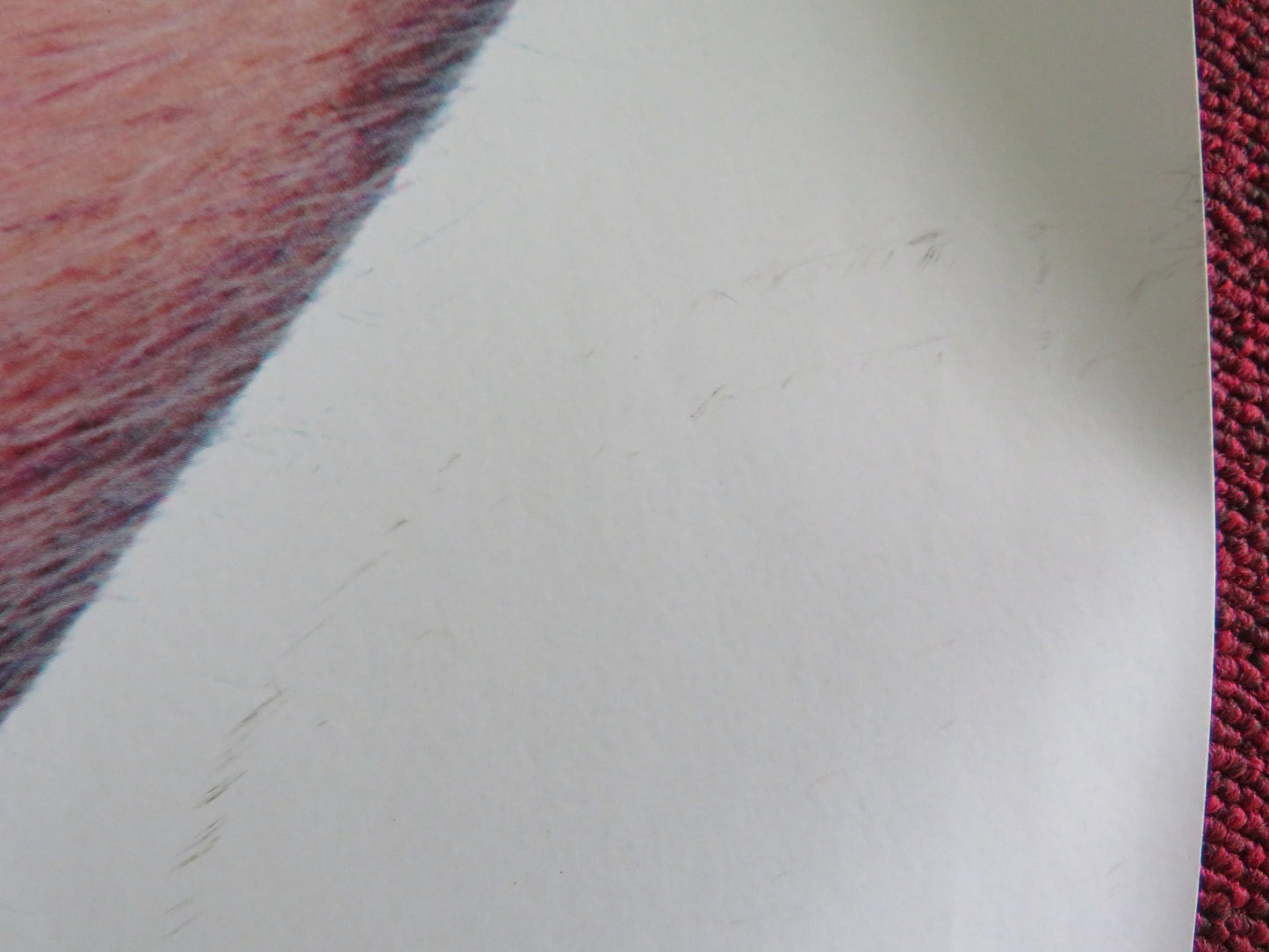 LILO & STITCH - B UK QUAD ROLLED POSTER DISNEY MAIA KEALOHA SYDNEY AGUDONG 2025