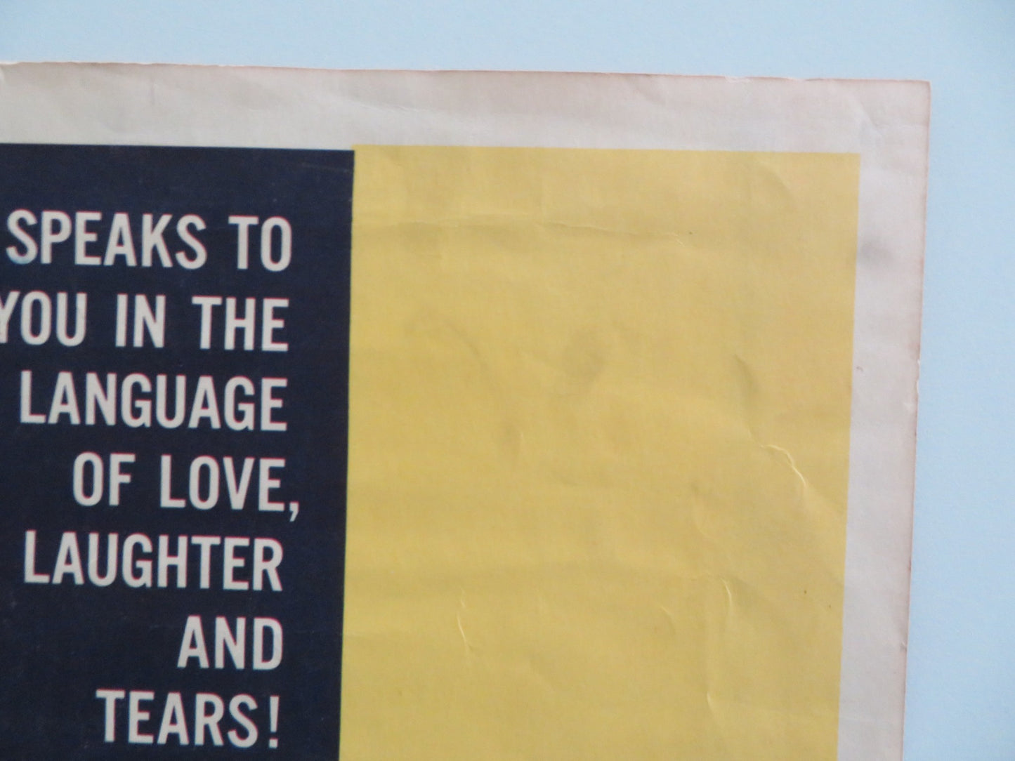 CAPTAIN NEWMAN, M.D. US INSERT POSTER GREGORY PECK TONY CURIS 1964 - Rendezvous Cinema