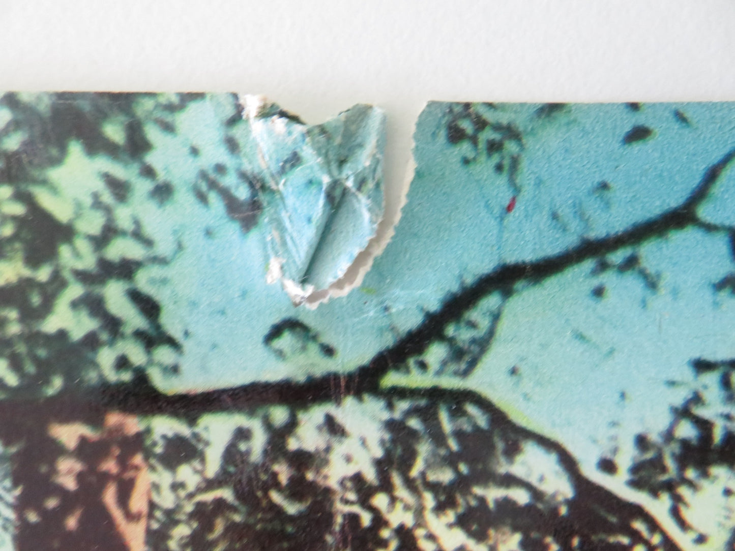 THE VIOLENT MEN - H ITALIAN FOTOBUSTA POSTER GLENN FORD BARBARA STANWYCK R1962 - Rendezvous Cinema