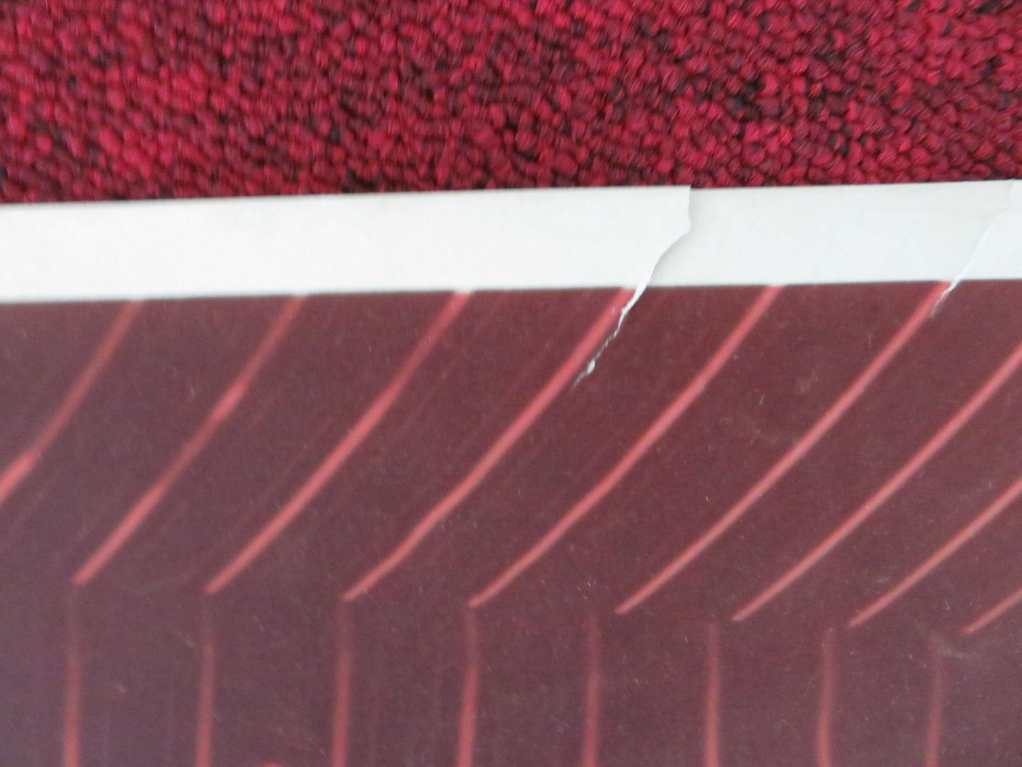 ROGUES OF SHERWOOD FOREST US LOBBY CARD FULL SET JOHN DEREK DIANA LYNN 1950 - Rendezvous Cinema