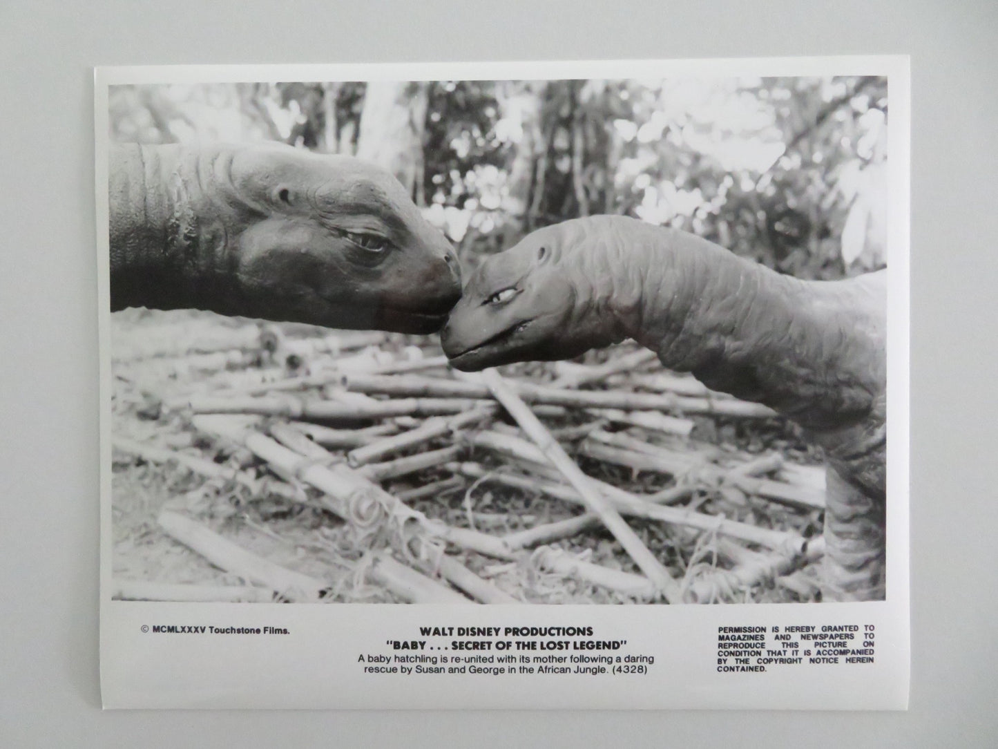 BABY: SECRET OF THE LOST LEGEND MOVIE STILL PHOTO LOT OF 4 DISNEY S. YOUNG 1985