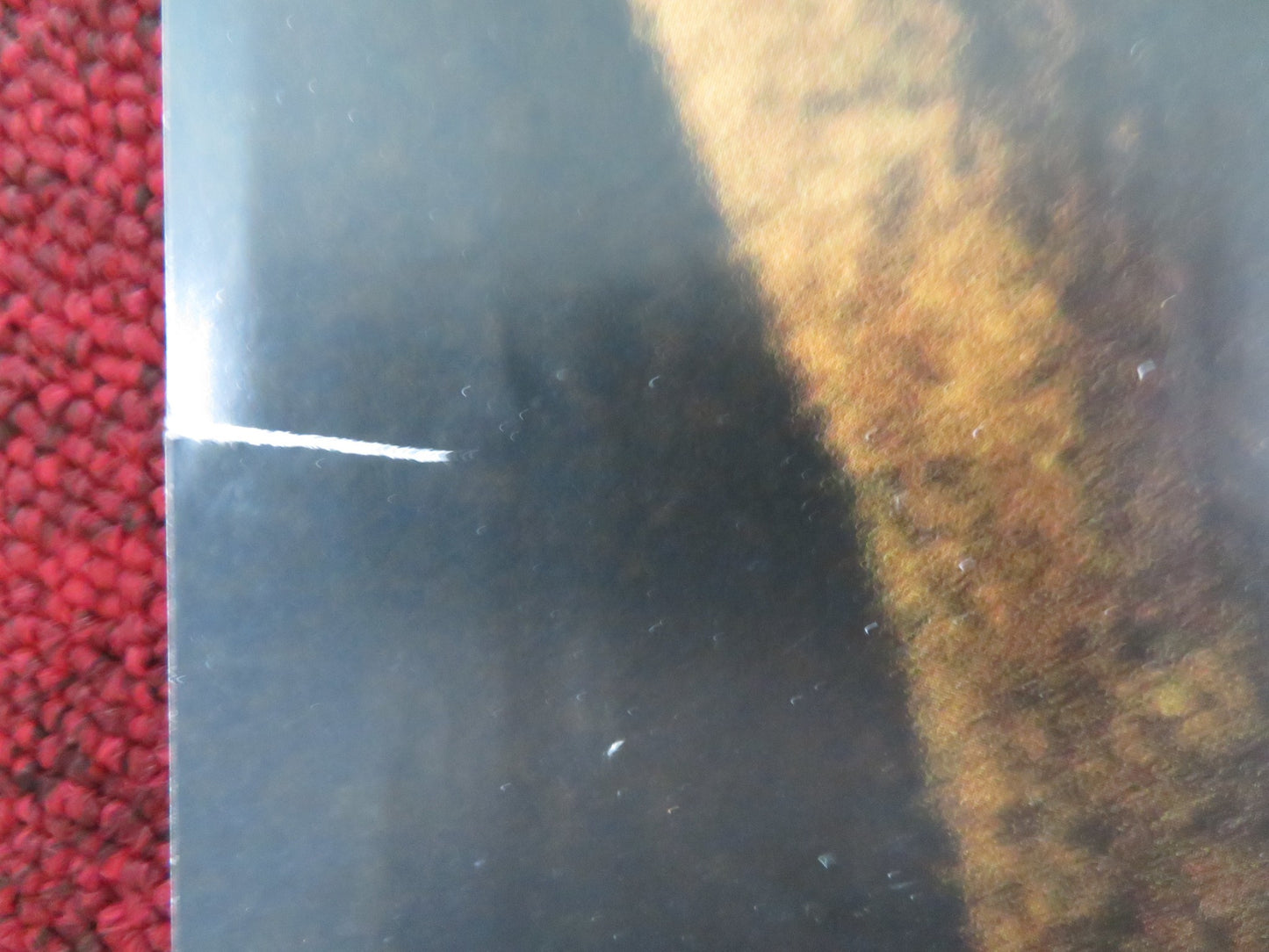 SHAME UK QUAD ROLLED POSTER MICHAEL FASSBENDER CAREY MULLIGAN 2011