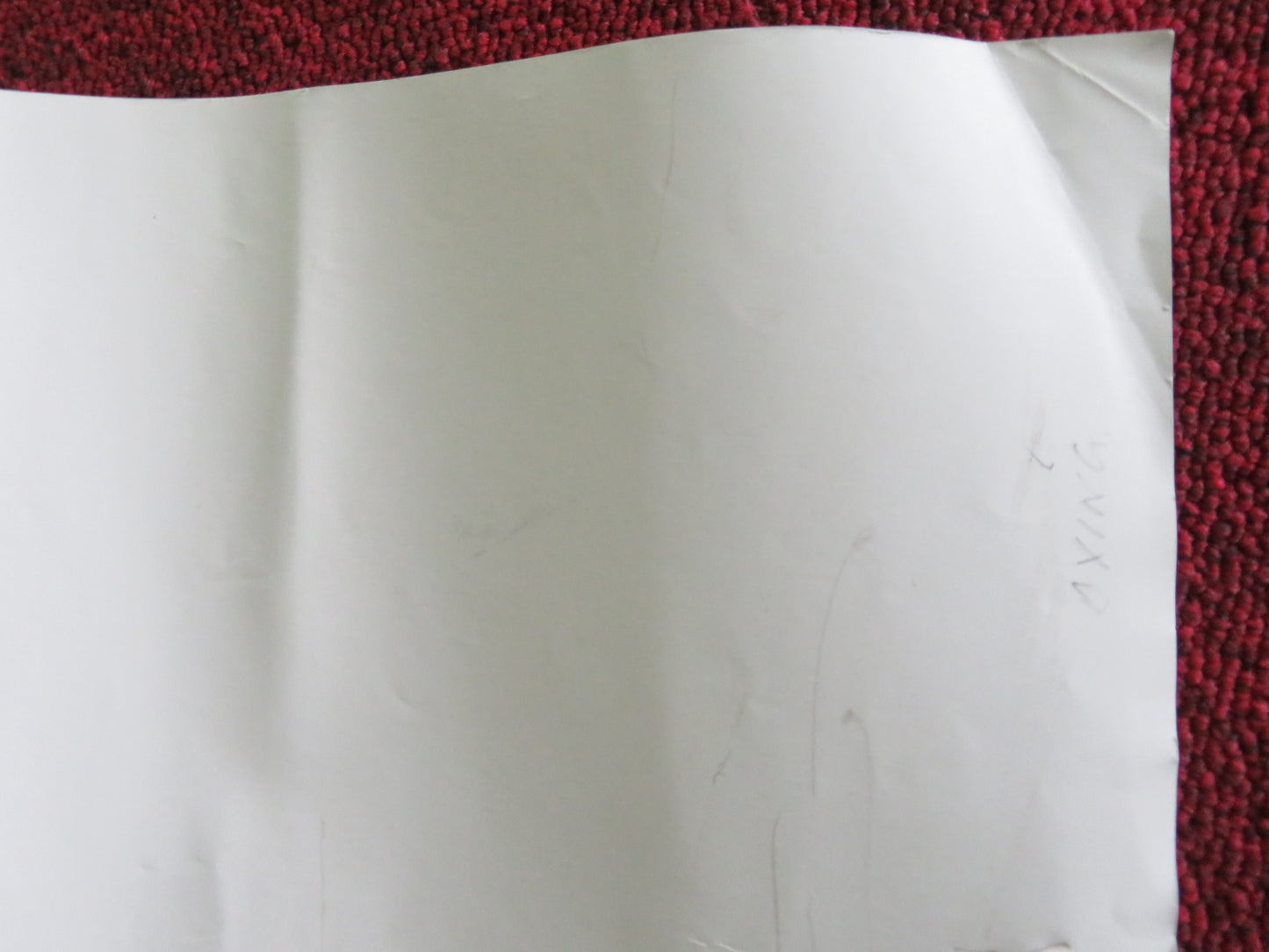 DYING UK QUAD ROLLED POSTER LARS EIDINGER CORINNA HARFOUCH 2024