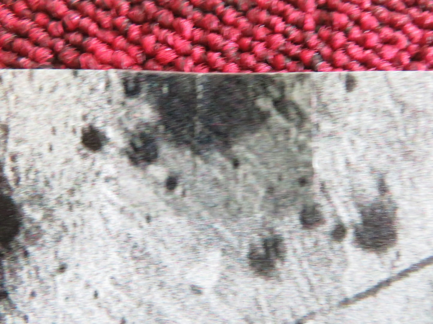 BELA TARR RETROSPECTIVE UK QUAD ROLLED POSTER 2024