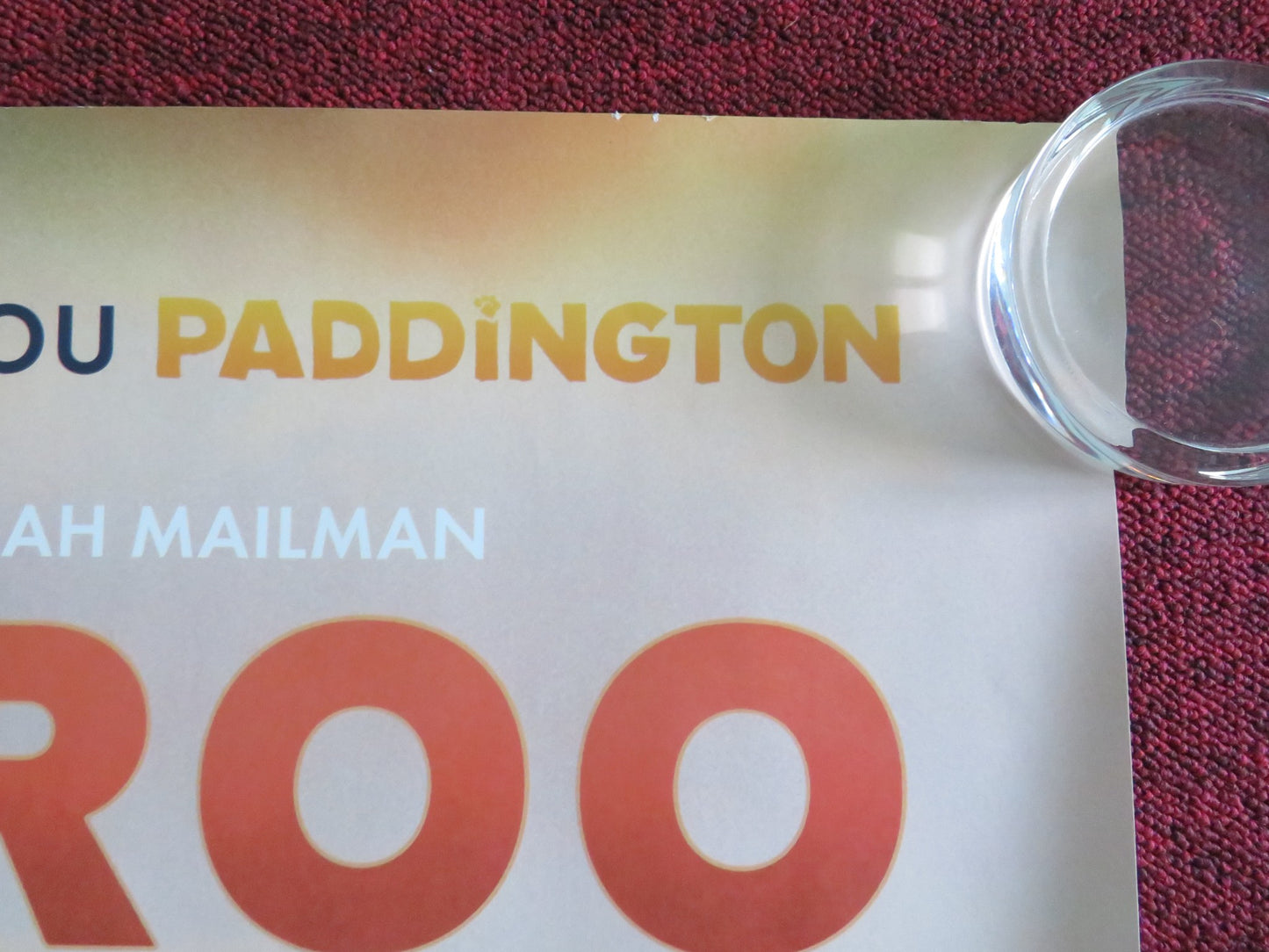 KANGAROO UK QUAD ROLLED POSTER LILY WHITELEY DEBORAH MAILMAN 2025