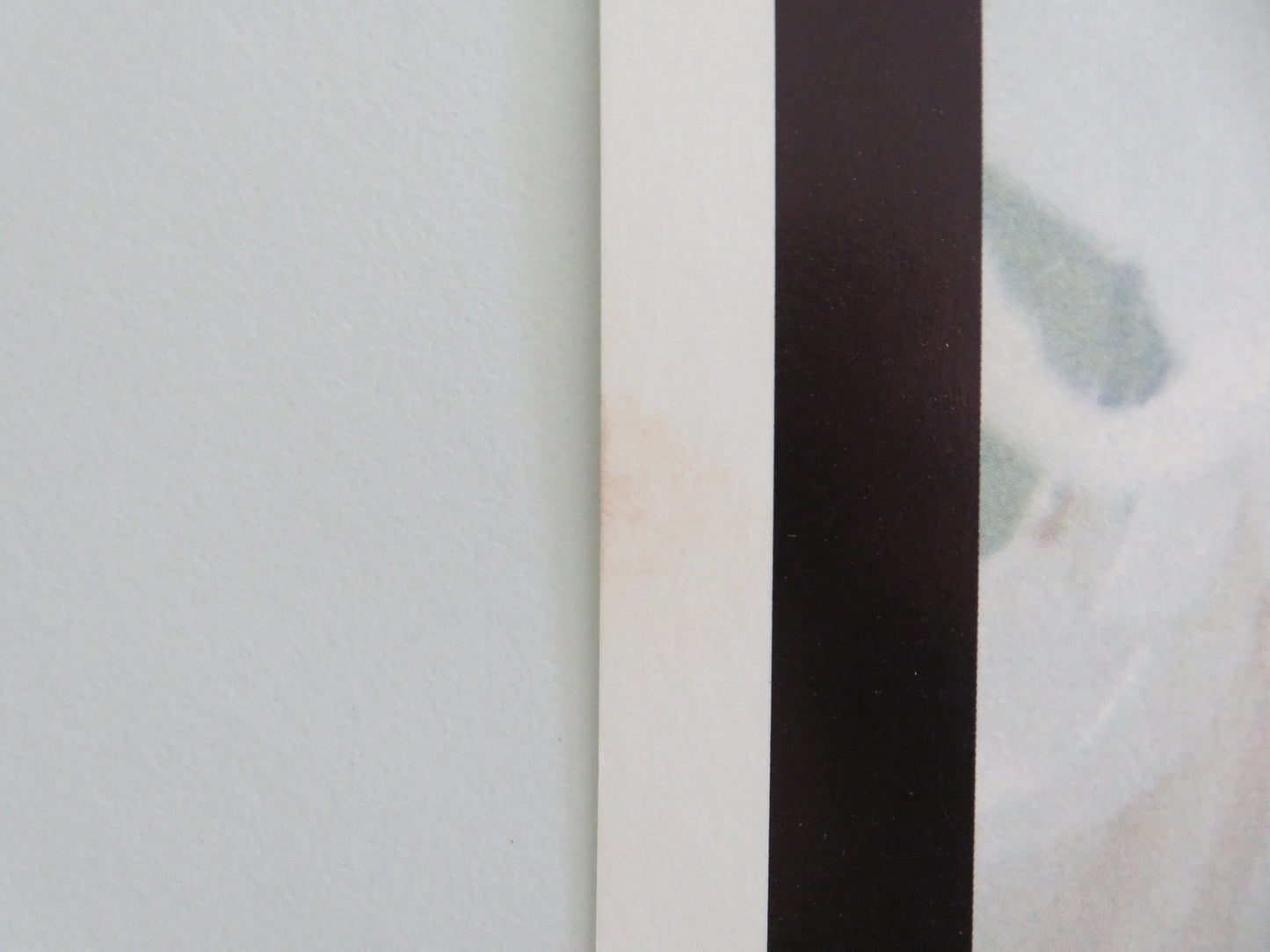 STAR 80 US INSERT POSTER MARIEL HEMINGWAY ERIC ROBERTS 1983 - Rendezvous Cinema