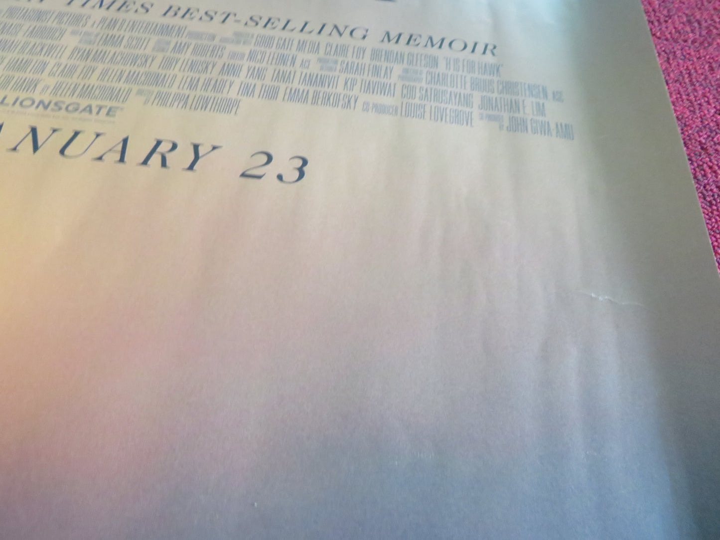 H Is For Hawk UK Quad Rolled Poster Claire Foy Brendan Gleeson 2025