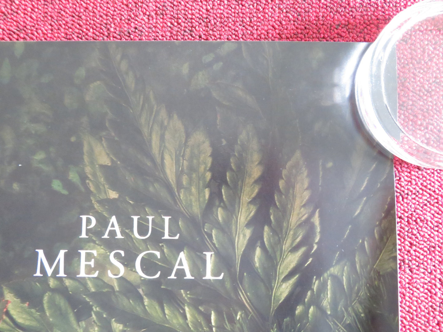 Hamnet UK Quad Rolled Poster Jessie Buckley Paul Mescal 2025