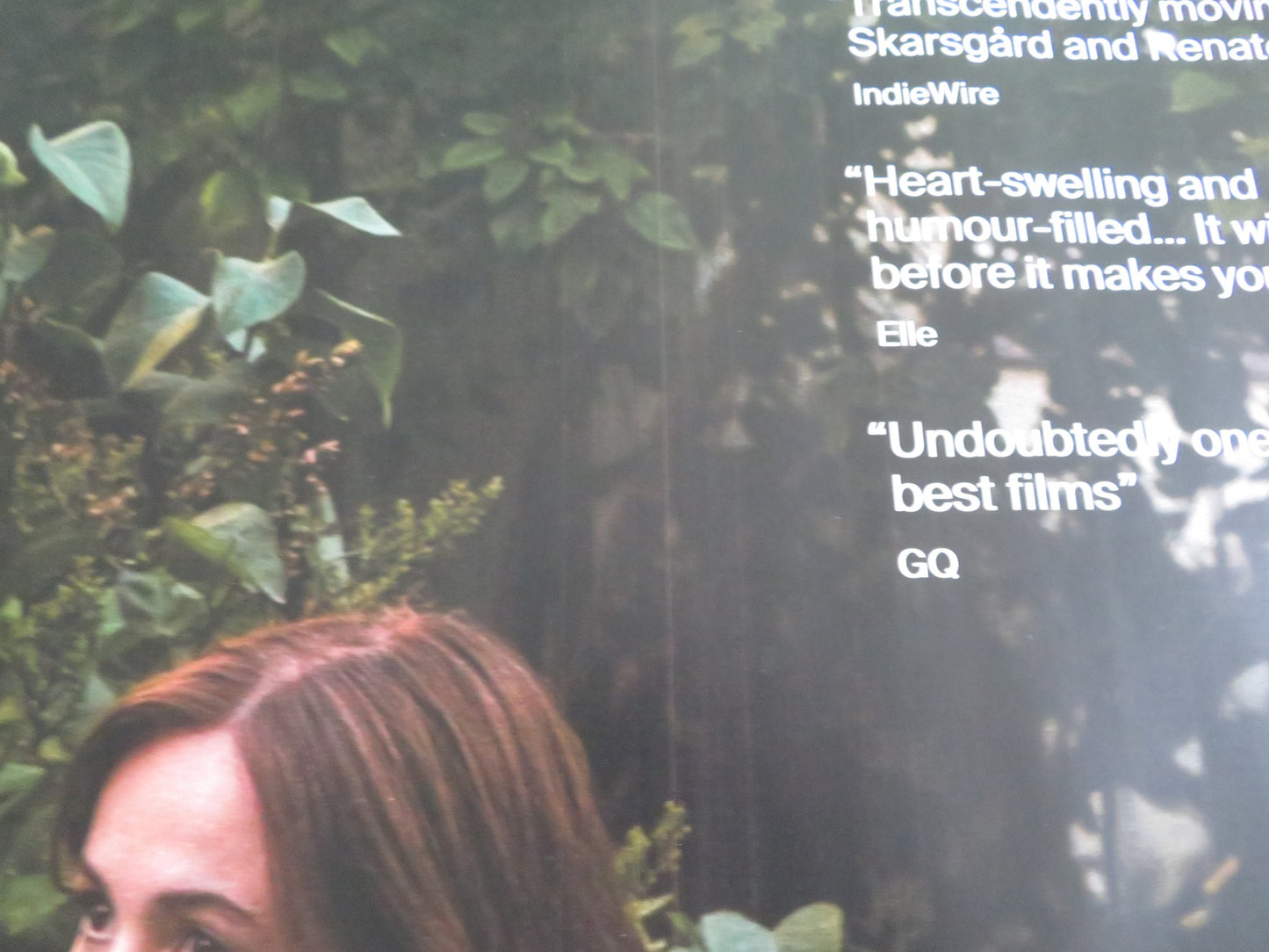 Sentimental Value UK Quad Rolled Poster Stellan Skarsgard Renate Reinsve 2025