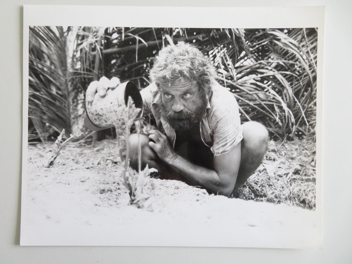 CASTAWAY MOVIE STILL PHOTO LOT OF 9 OLIVER REED AMANDA DONOHOE 1986