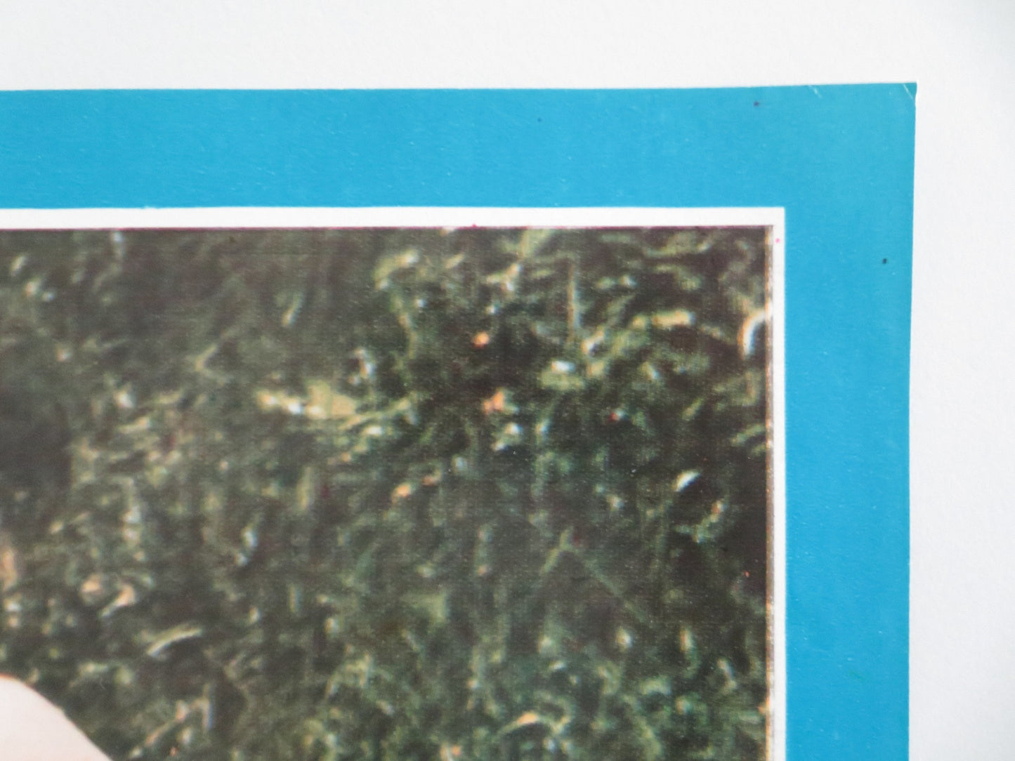 TEENAGE PLAYMATES - F ITALIAN FOTOBUSTA POSTER ELKE DEURINGER ALFRED ACKTUN 1974 - Rendezvous Cinema