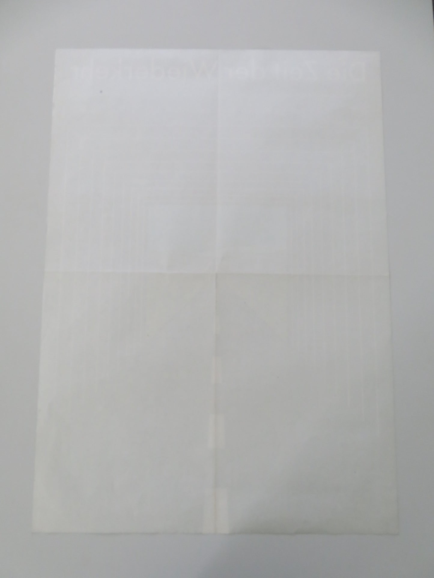 THE HOMING SEASON GERMAN A1 ROLLED POSTER MARIA ERICA RAMOS ALEJANDRO COHEN 1989 - Rendezvous Cinema