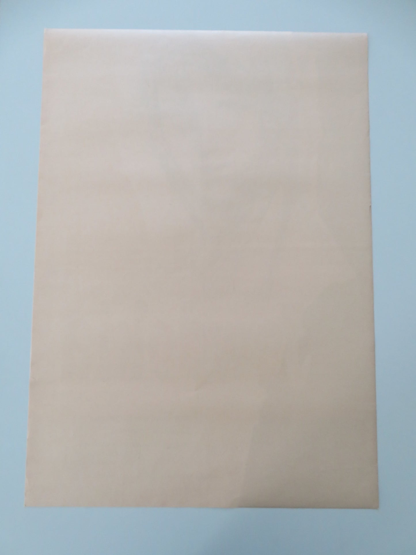 EVDOKIYA POLISH POSTER ROLLED LYUDMILA KHITYAEVA NIKOLAY LEBEDEV 1962 - Rendezvous Cinema